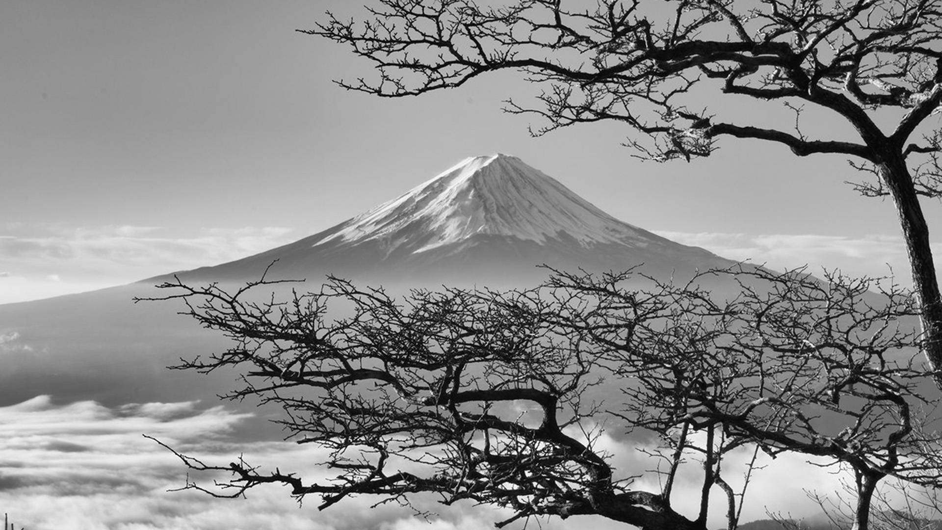 Mountain Japanese Nature Background