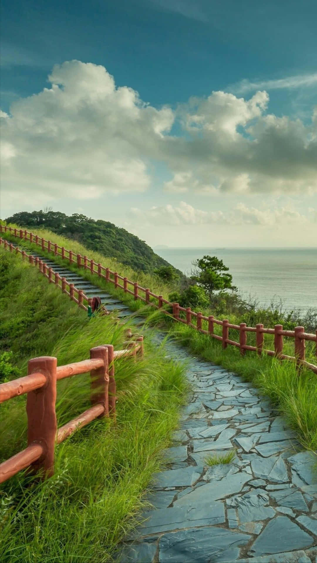 Mountain Path In Sri Lanka Portrait