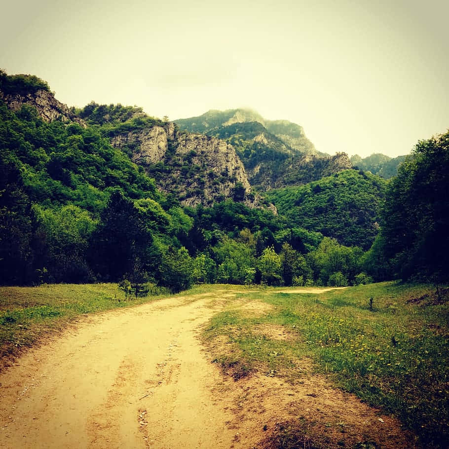 Mountain_ Path_ Scenery Background