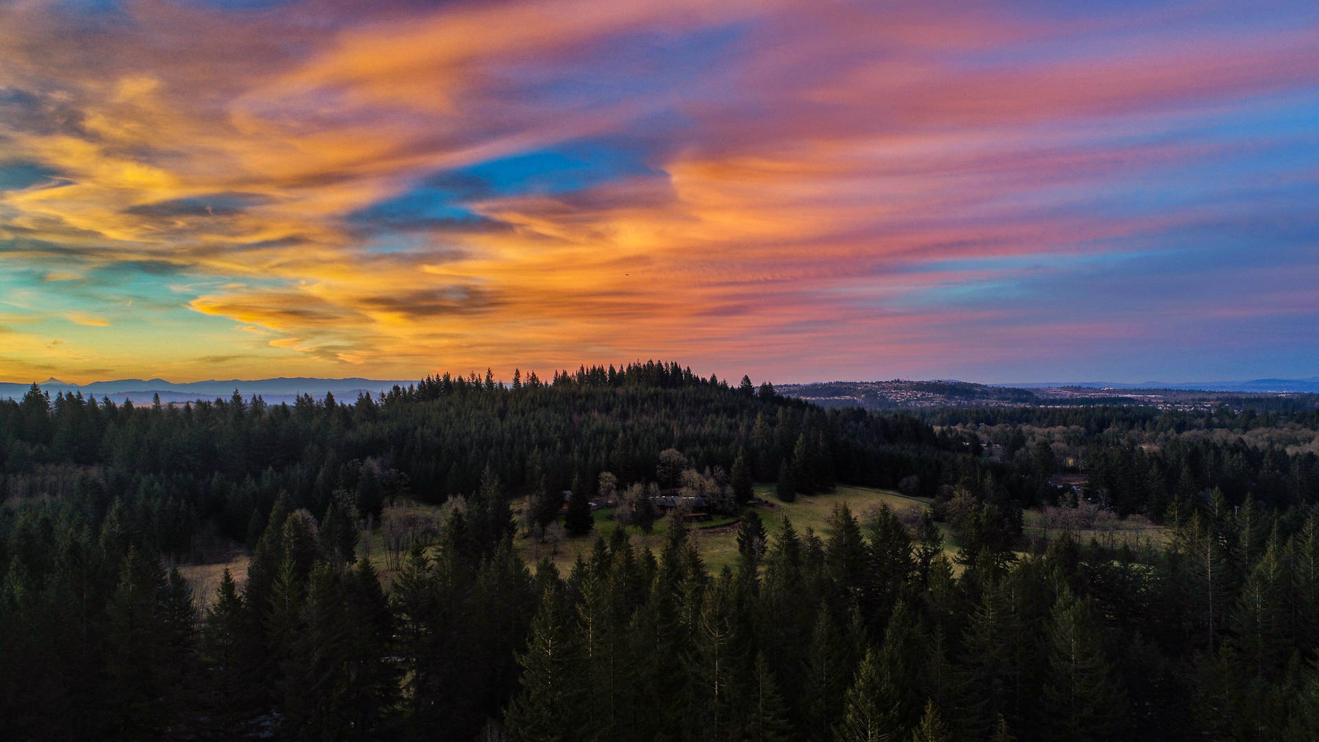 Mountain Pine Tree Sunset Background