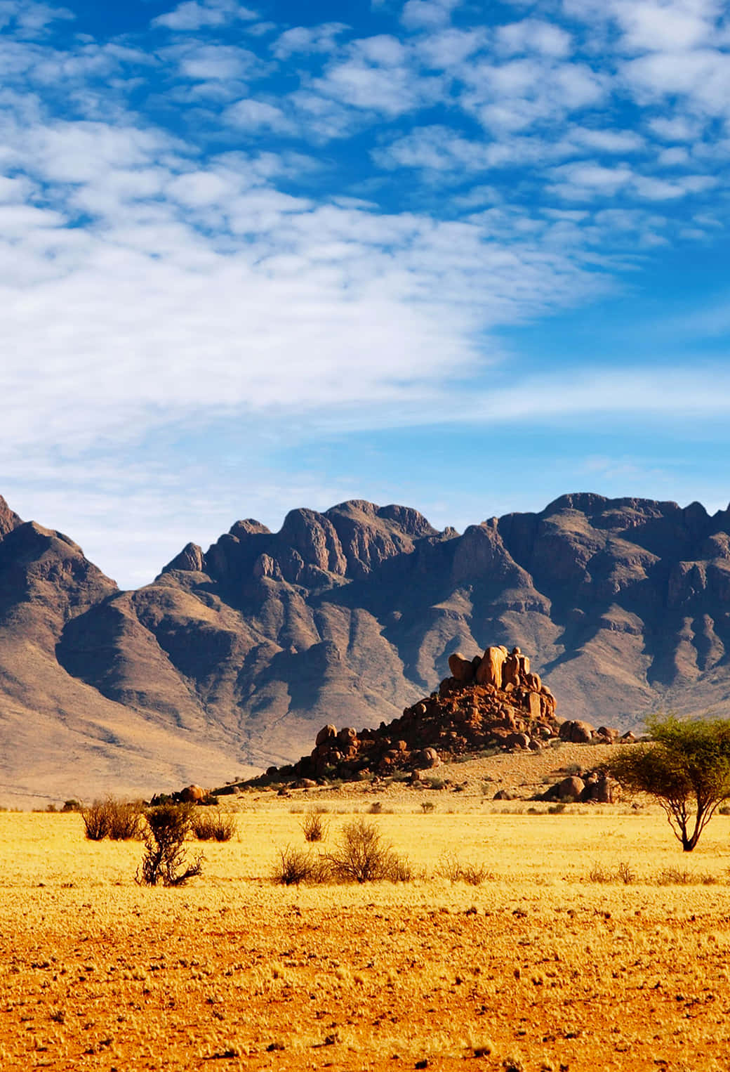 Mountain Range In Nevada Desert Iphone Background