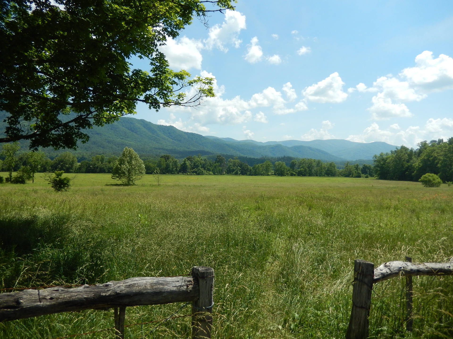 Mountain Ranges And Meadow Background