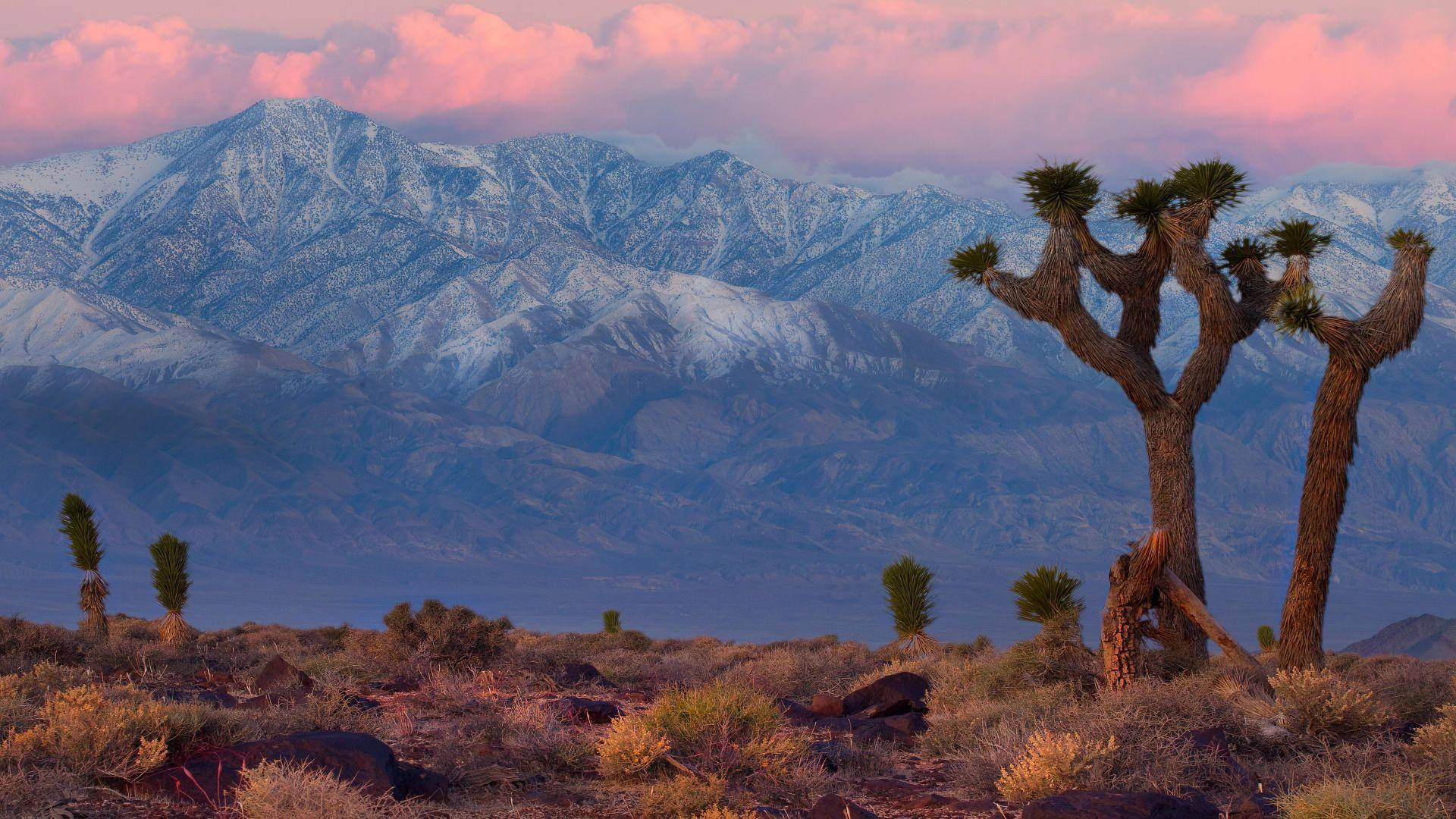 Mountain Ranges Death Valley Background