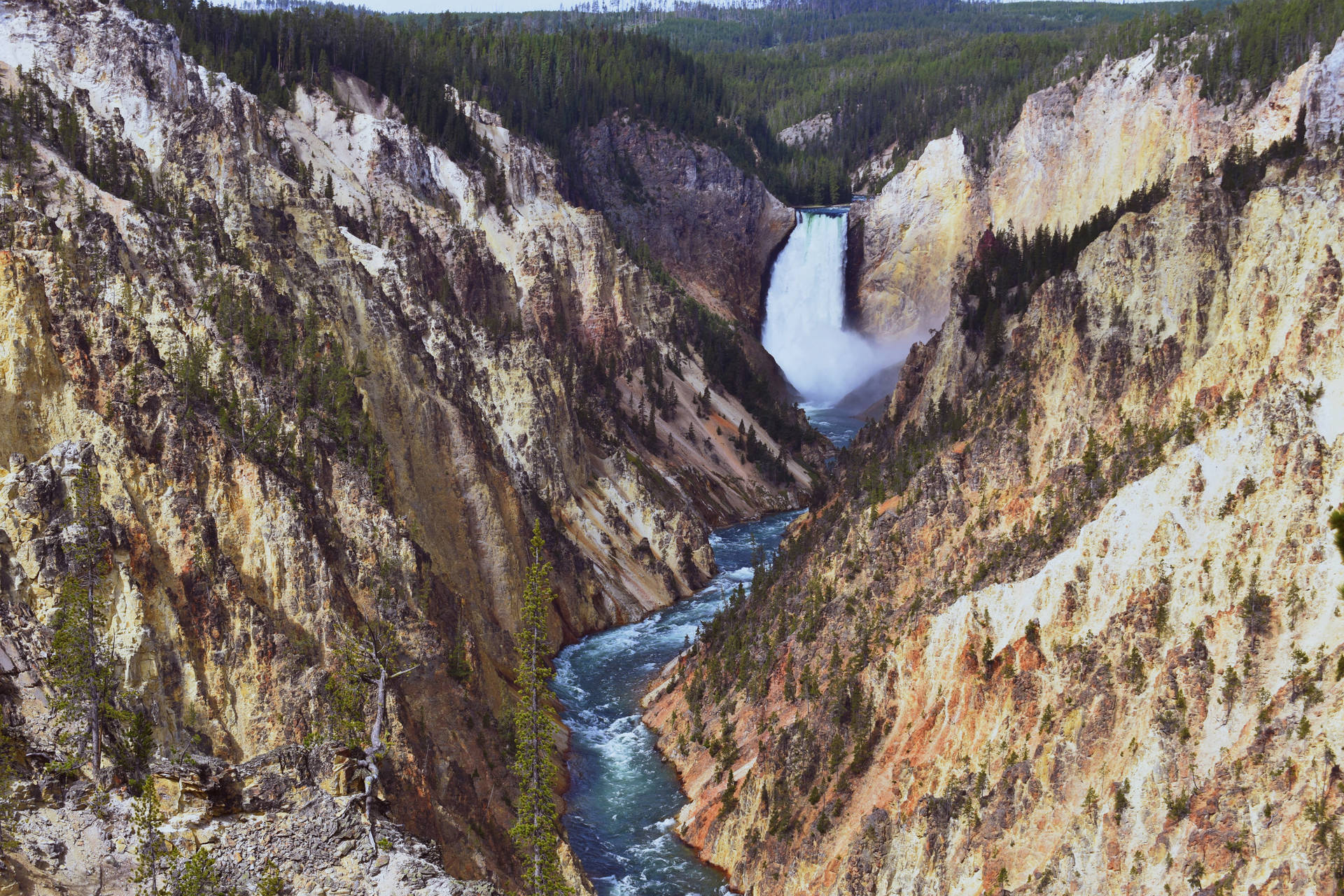 Mountain River National Park Background