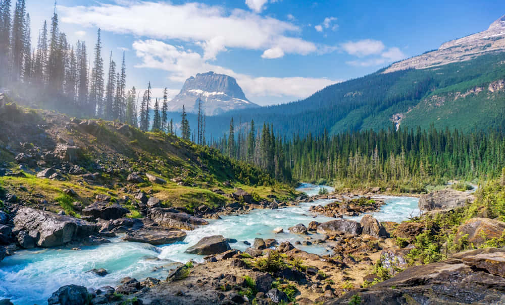 Mountain_ River_ Scenery_ National_ Park Background