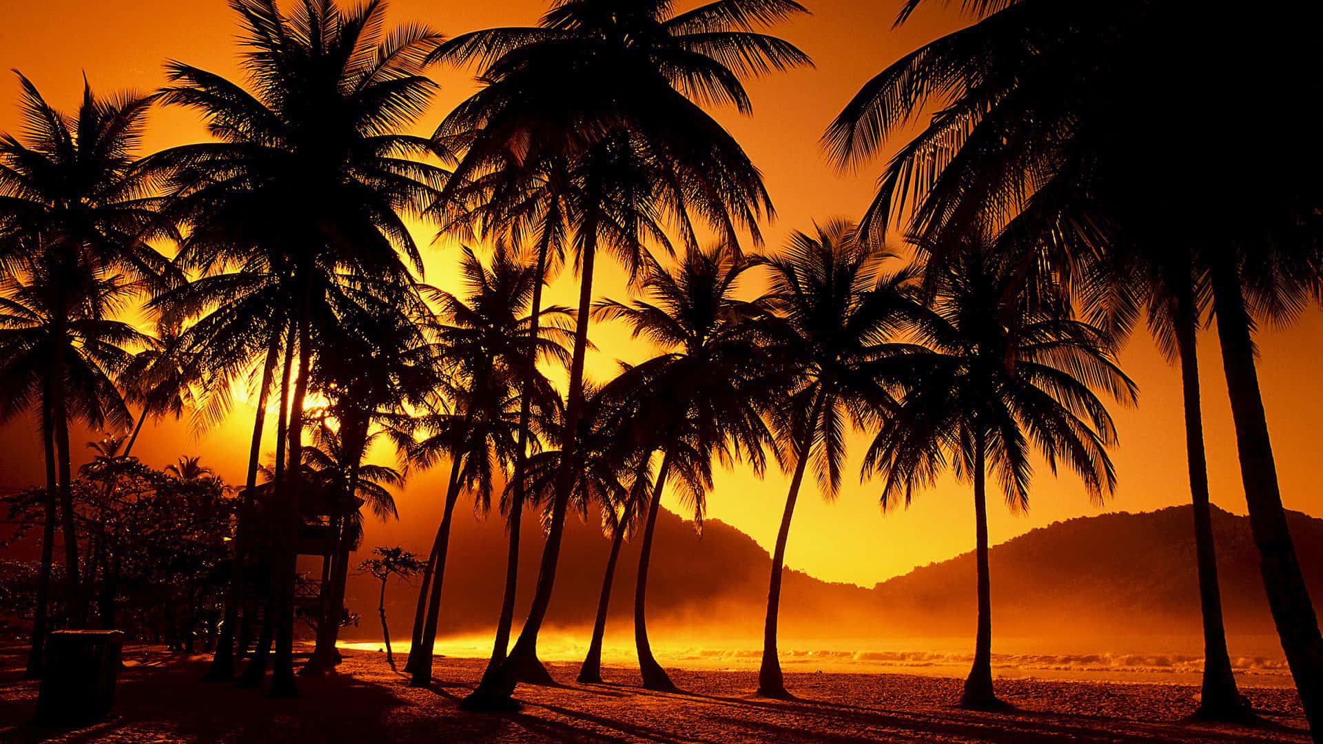 Mountain Sunset With Palm Tree Background