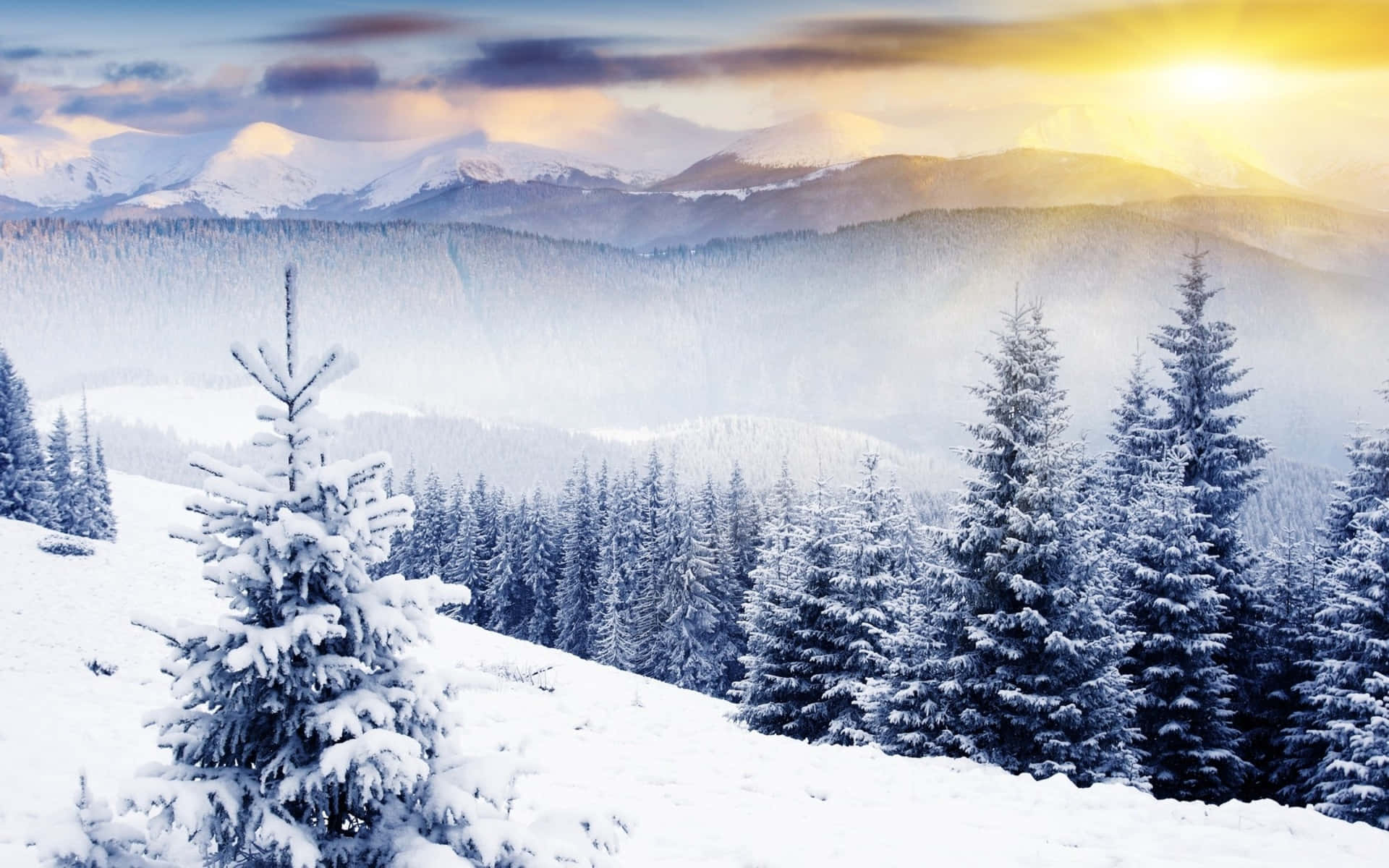 Mountain Top Winter Wonderland Desktop Background