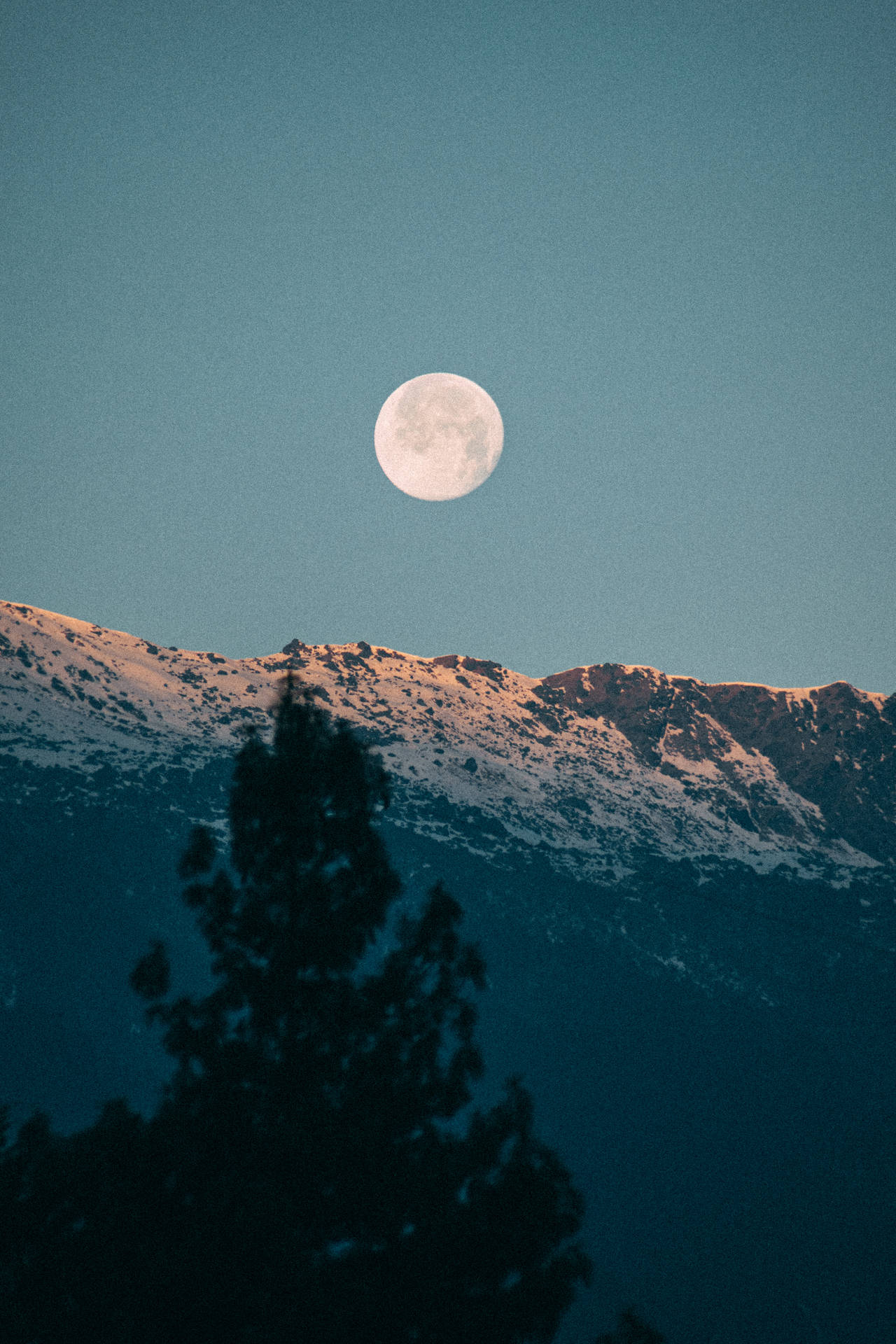 Mountain Tree And Beautiful Full Moon Background