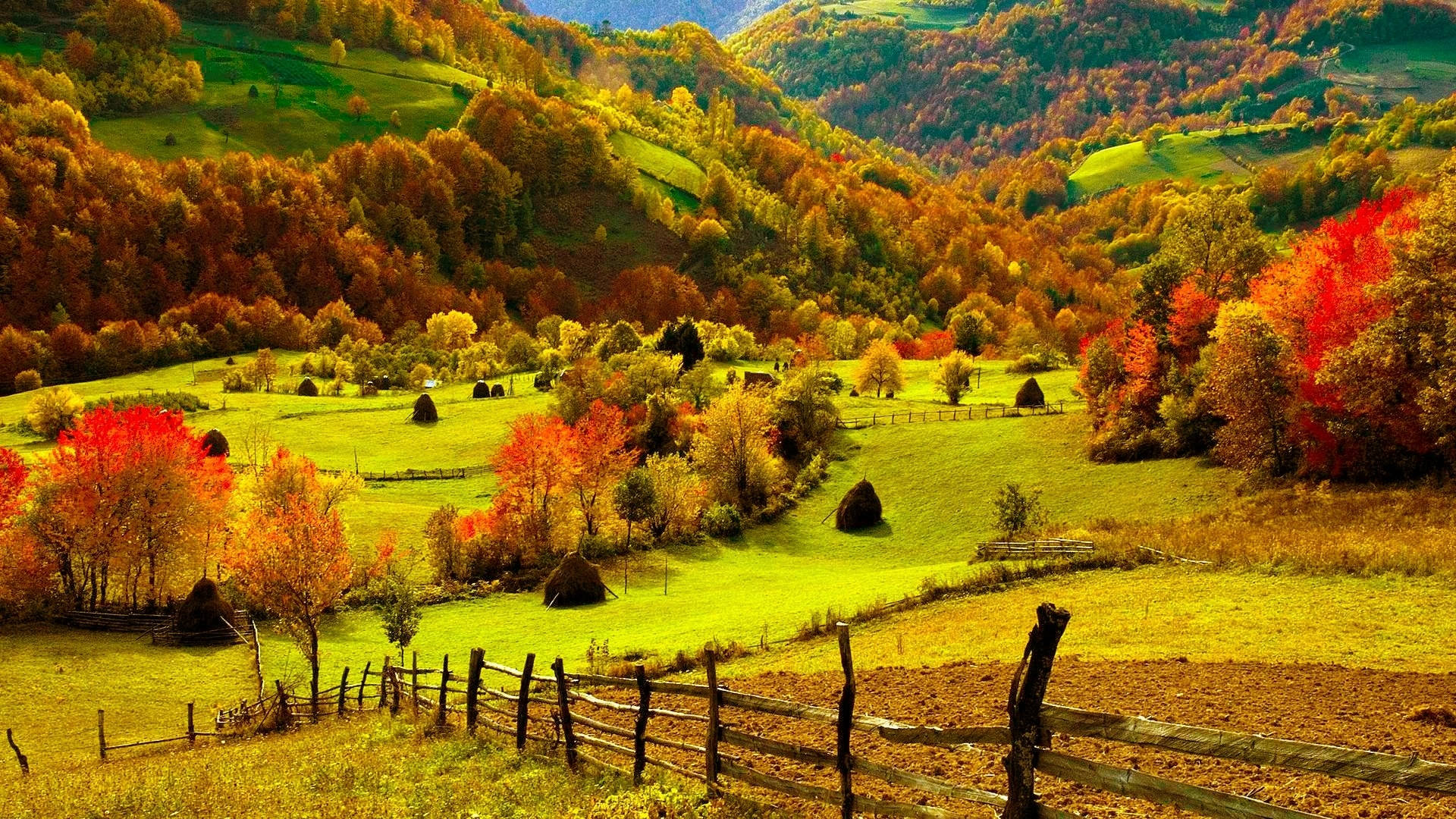 Mountain Trees Fall Farm Background