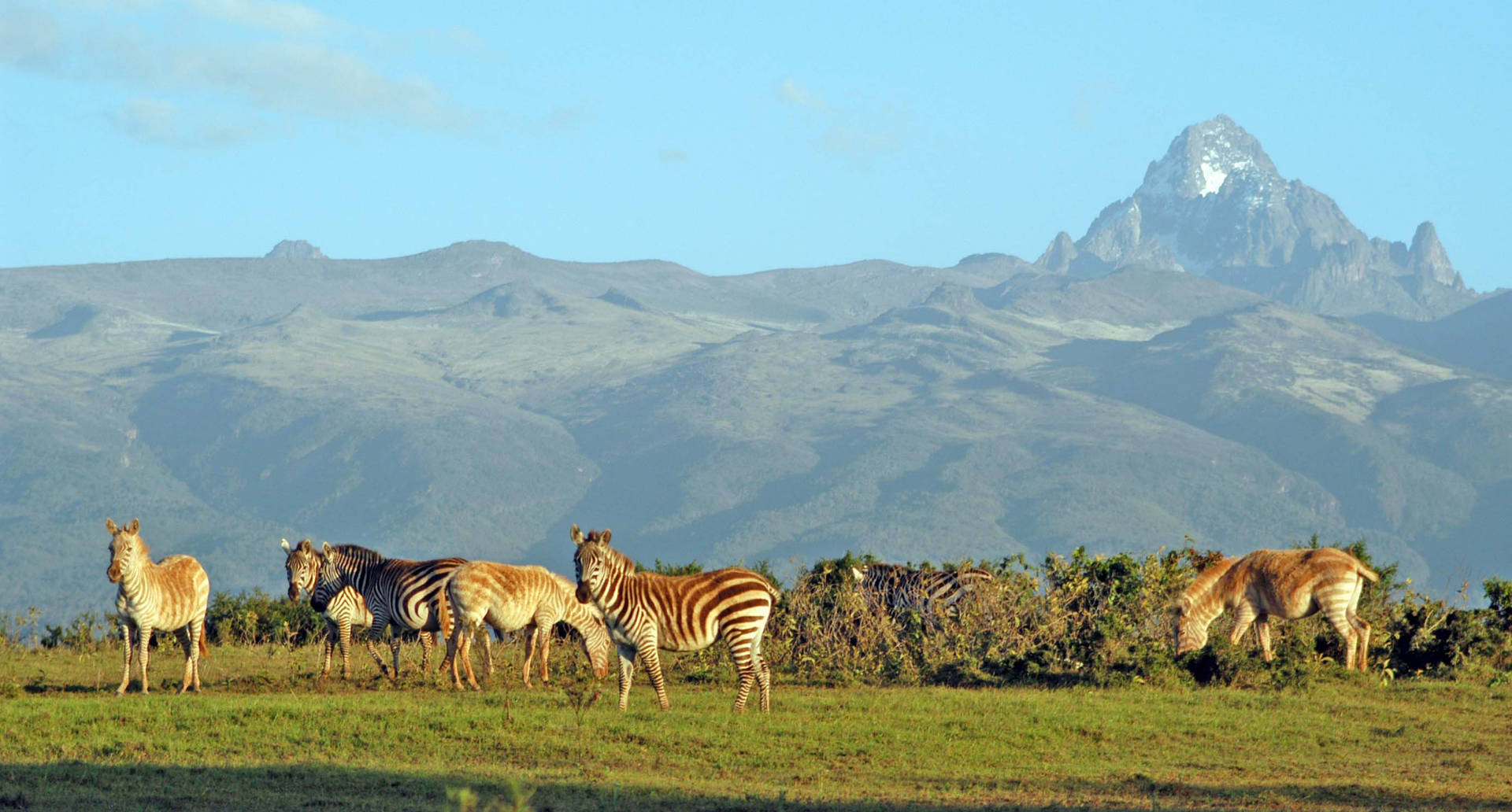 Mountain View In Kenya Africa Background