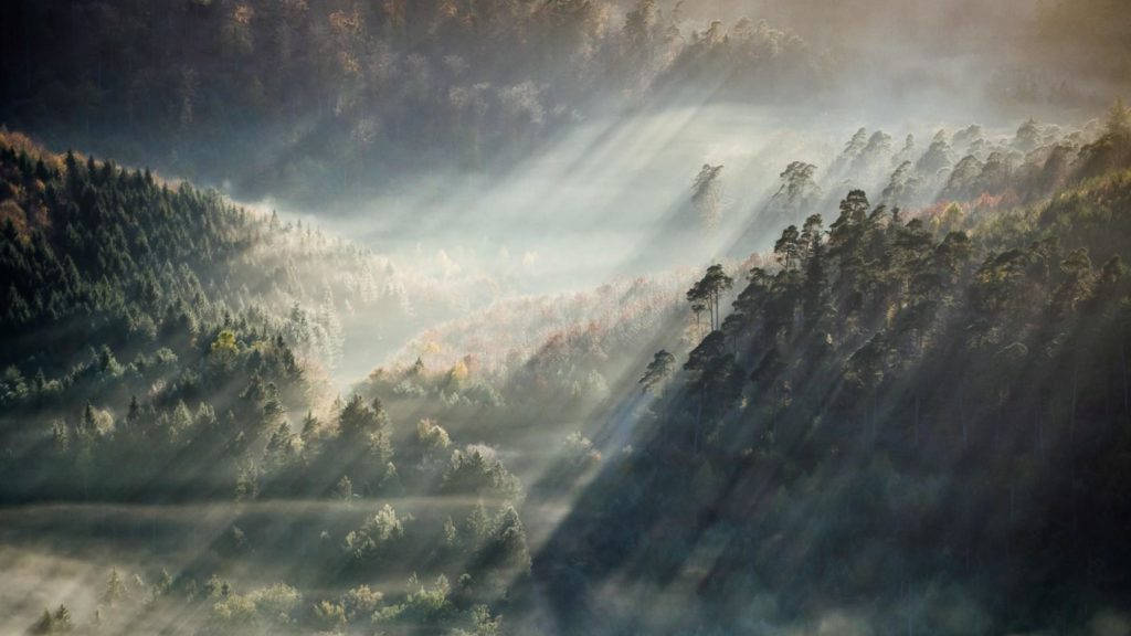 Mountainous Area With Foggy Forest