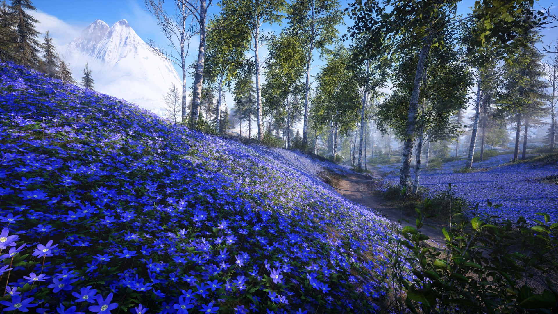 Mountainous_ Bluebell_ Woodland_ Scene Background