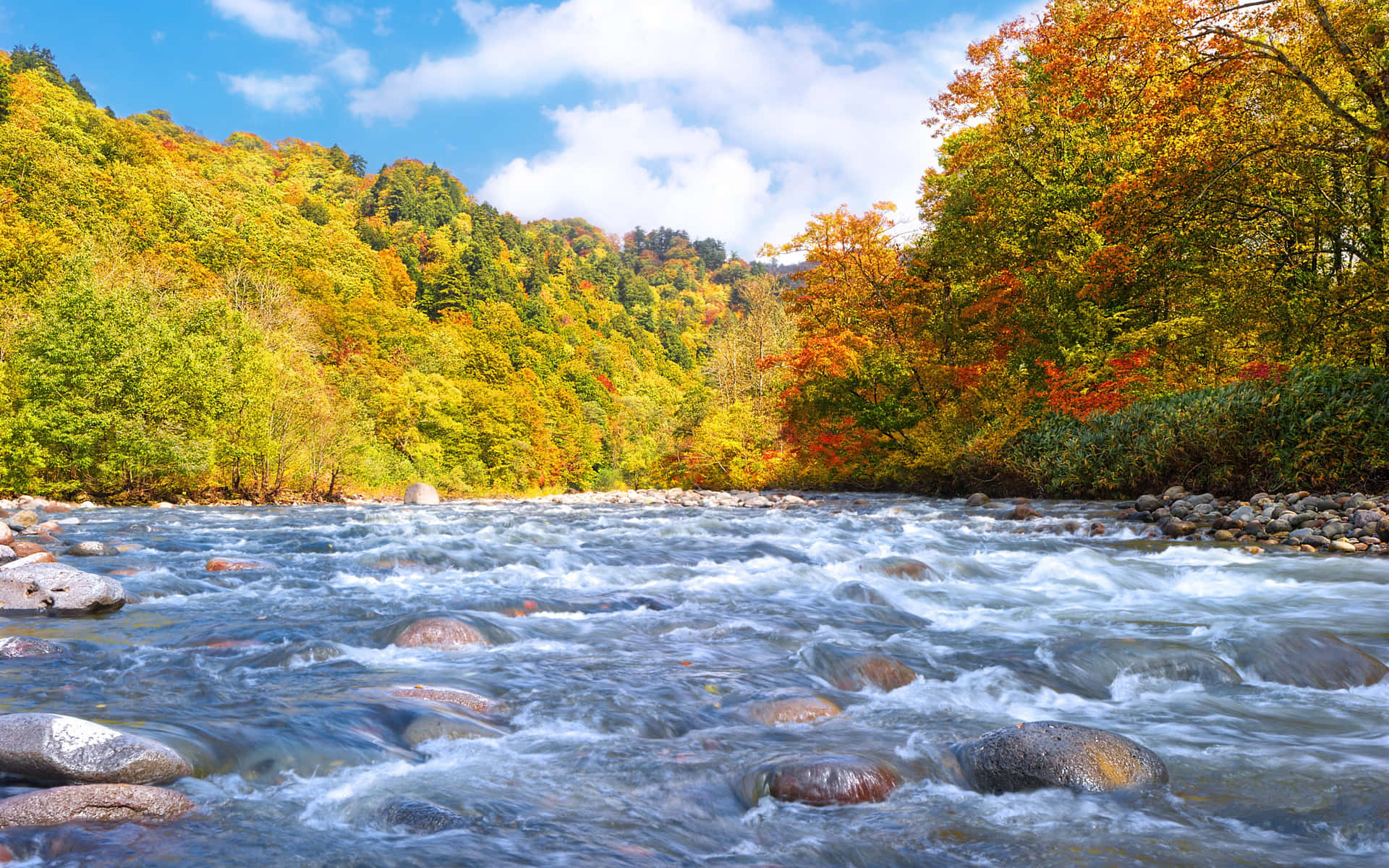 Mountains During Early Fall Background