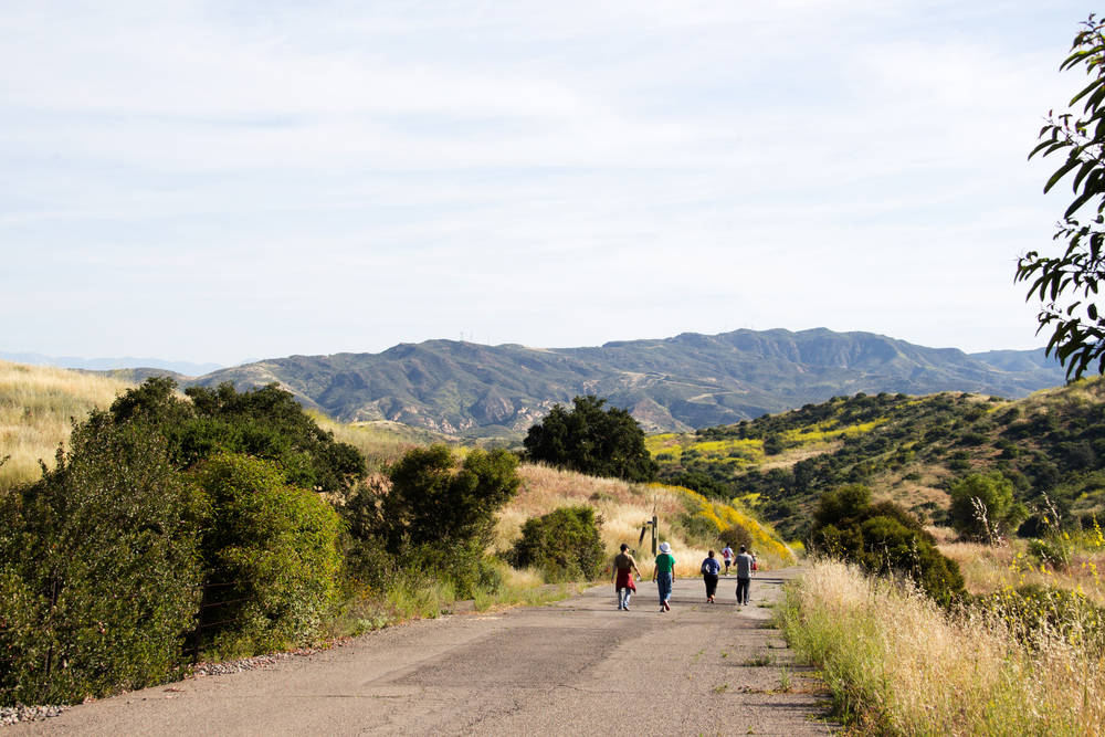 Mountains In Irvine Background