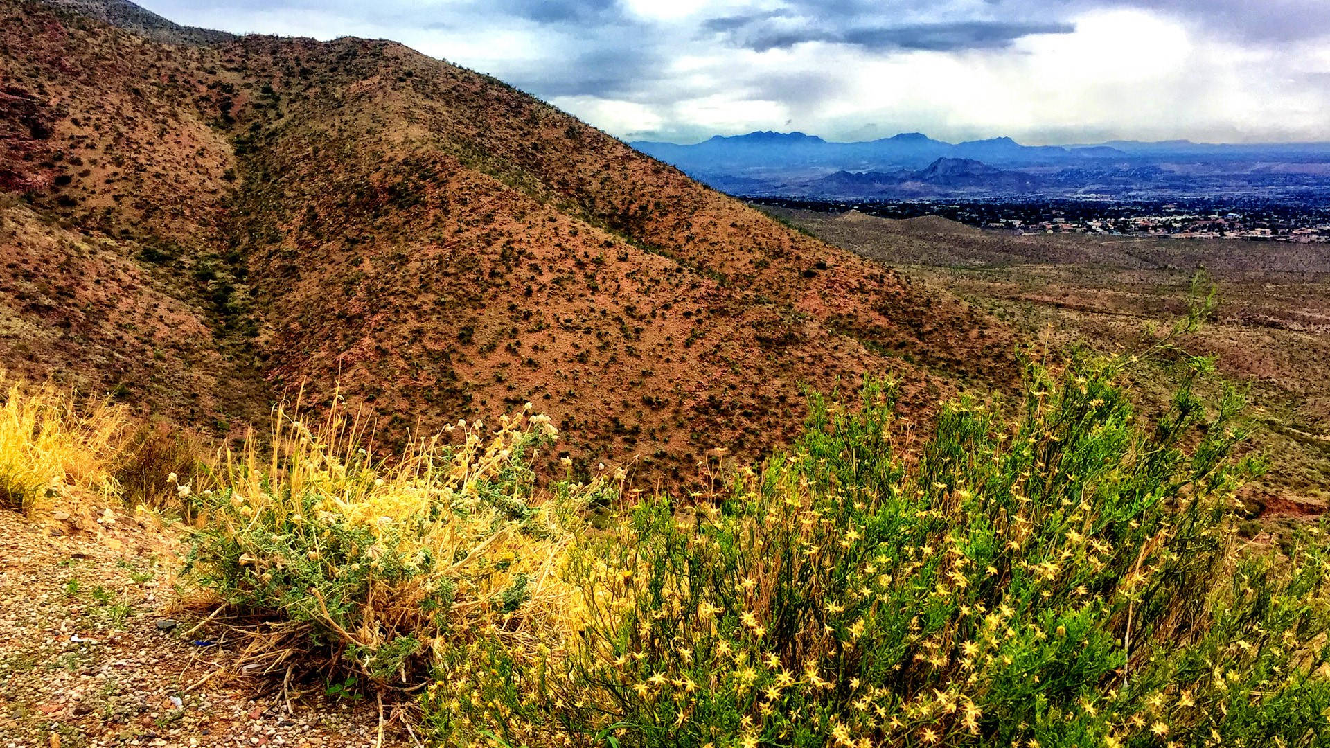 Mountains With Green Grass In El Paso Background