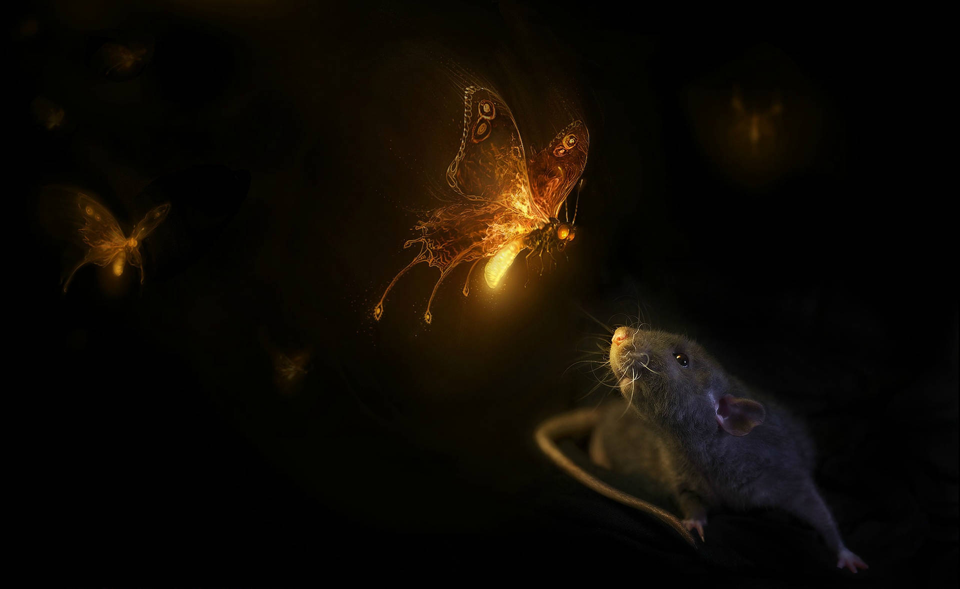 Mouse And Glowing Butterfly Background