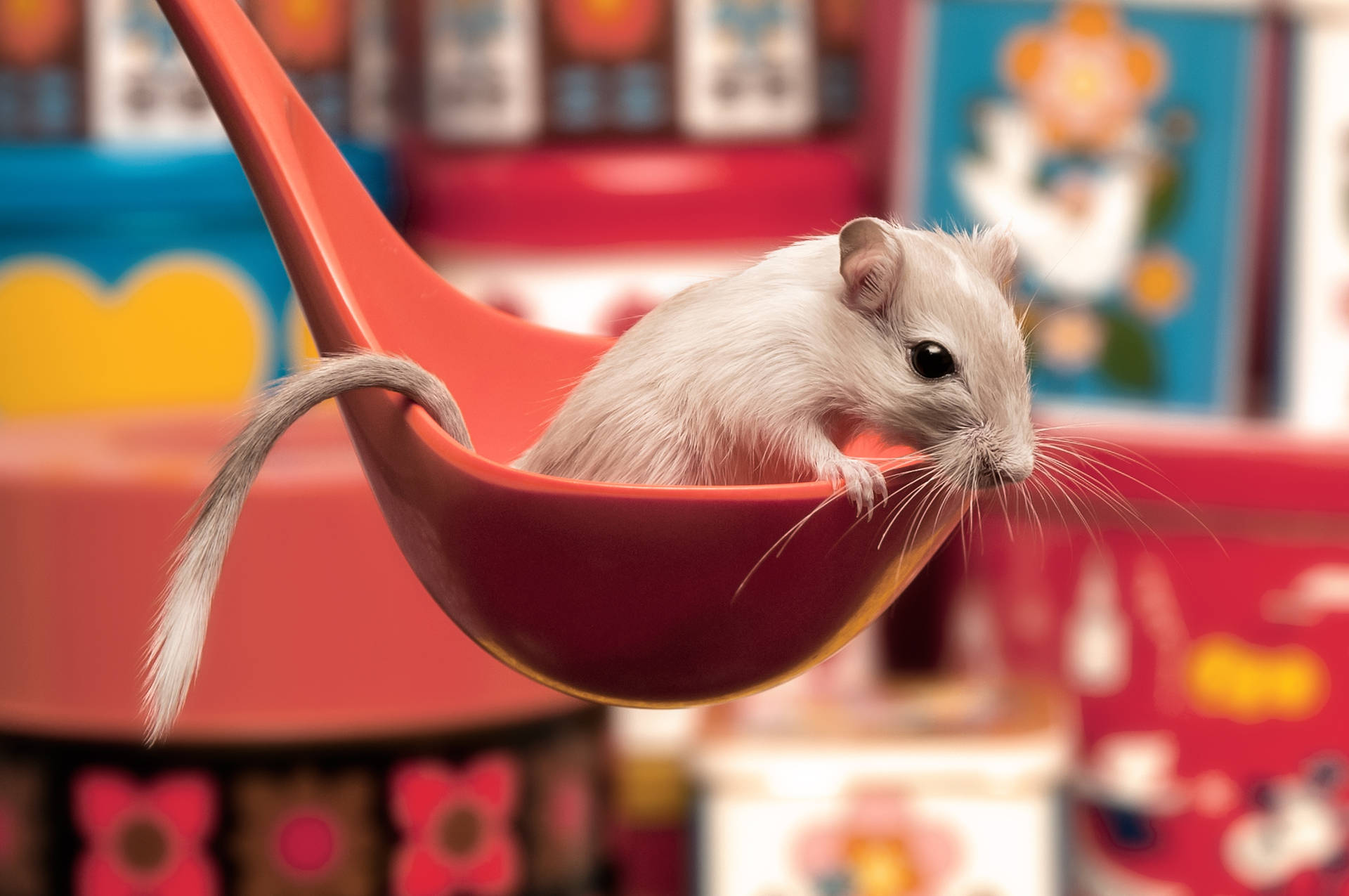 Mouse Inside A Red Ladle Background