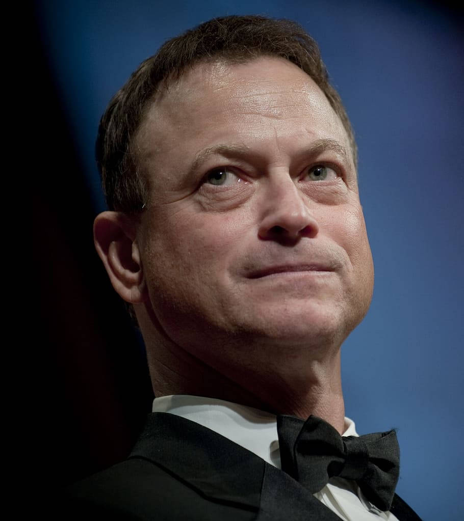 Movie Actor Gary Sinise Background