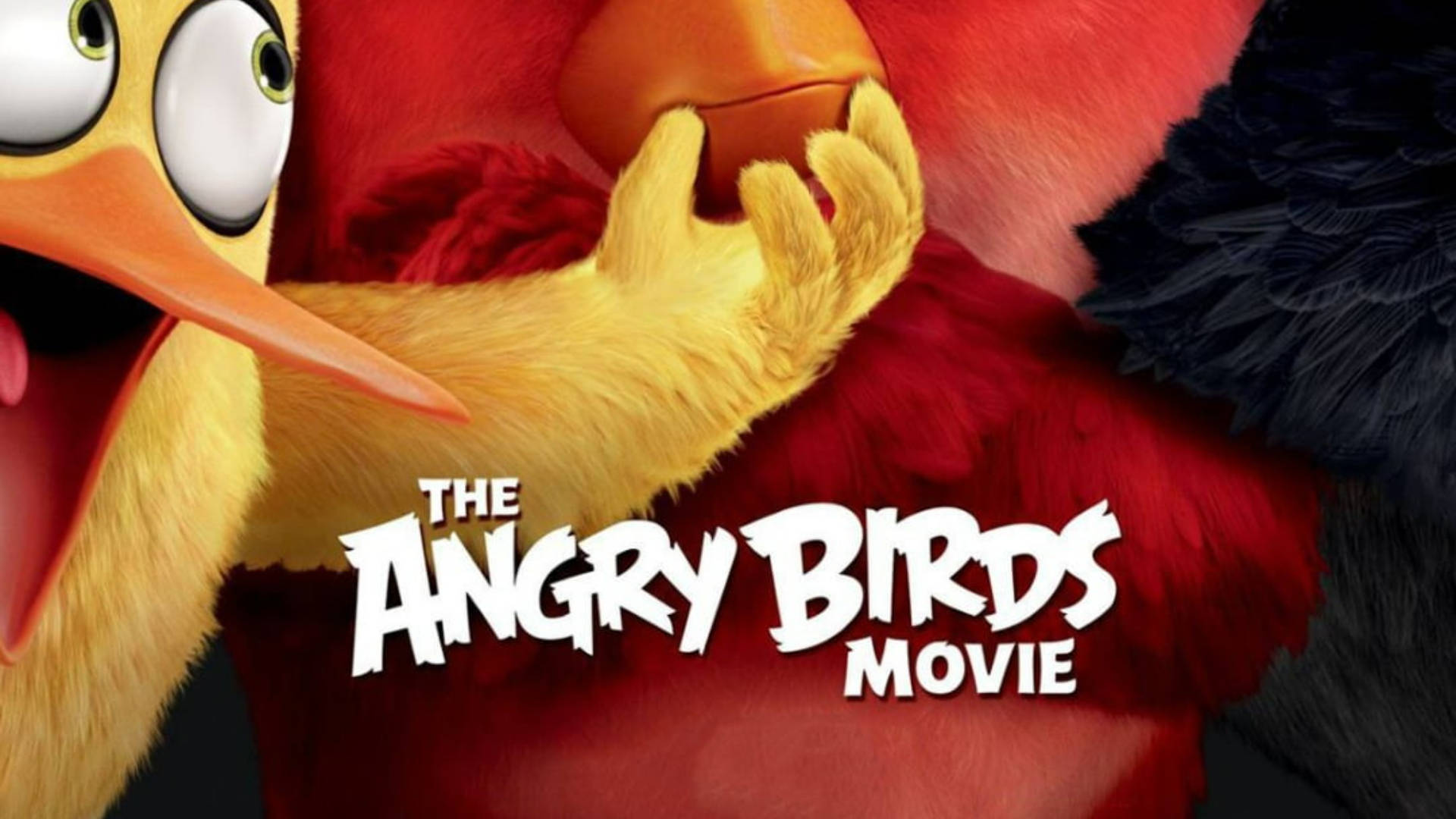 Movie Poster Of The Angry Birds Movie Background