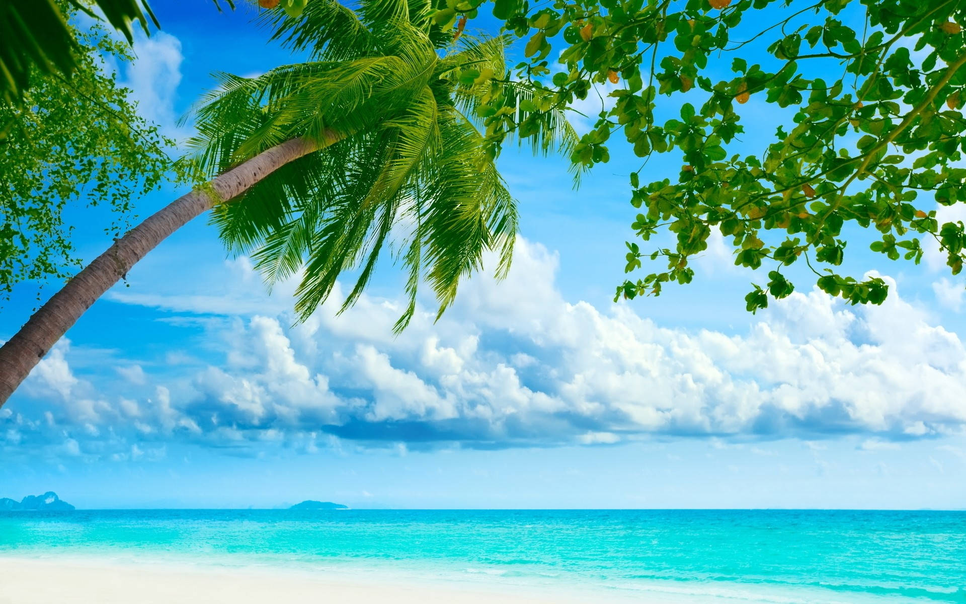 Moving Desktop Beach Background