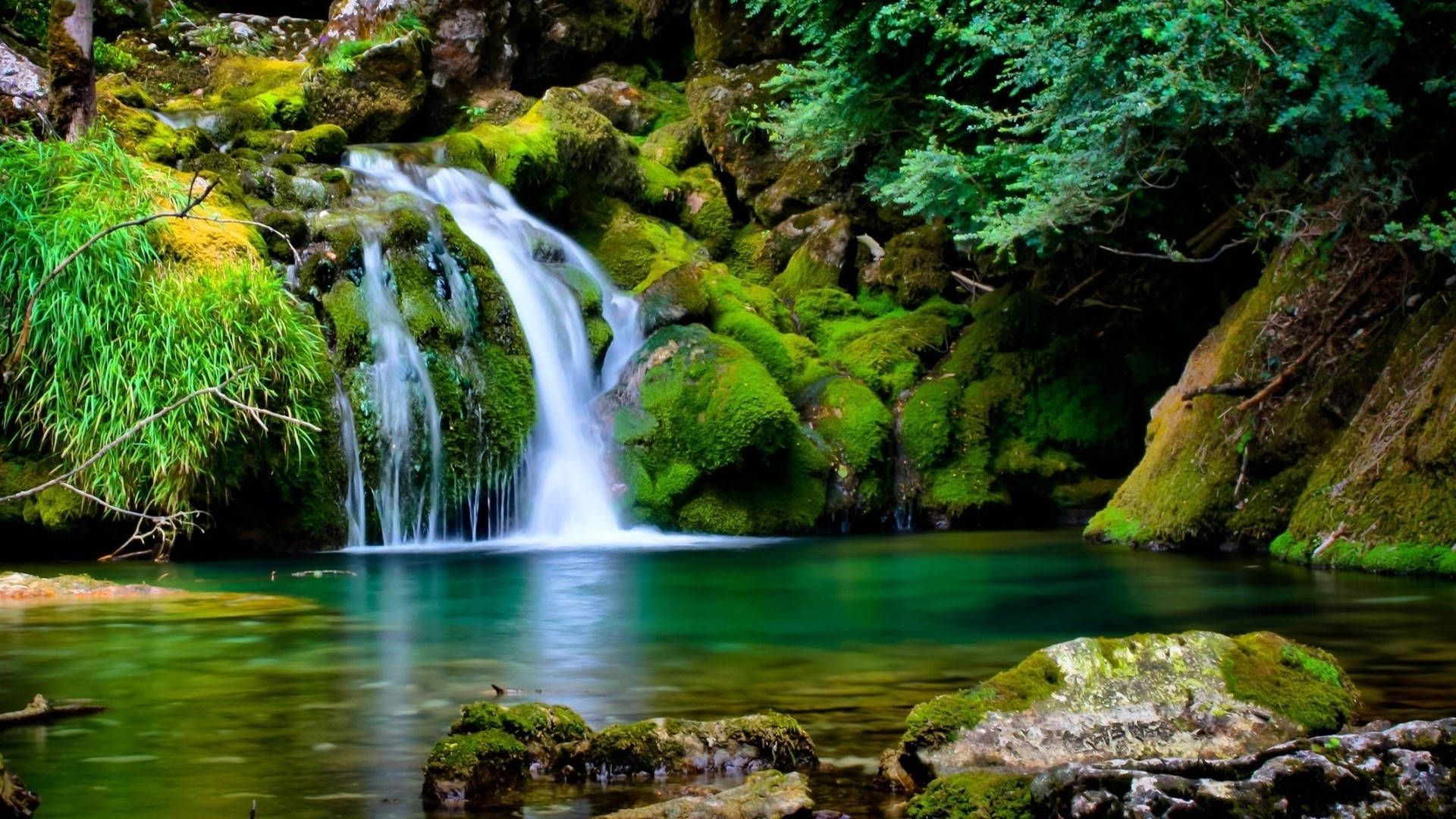 Moving Desktop Waterfalls In A Forest Background