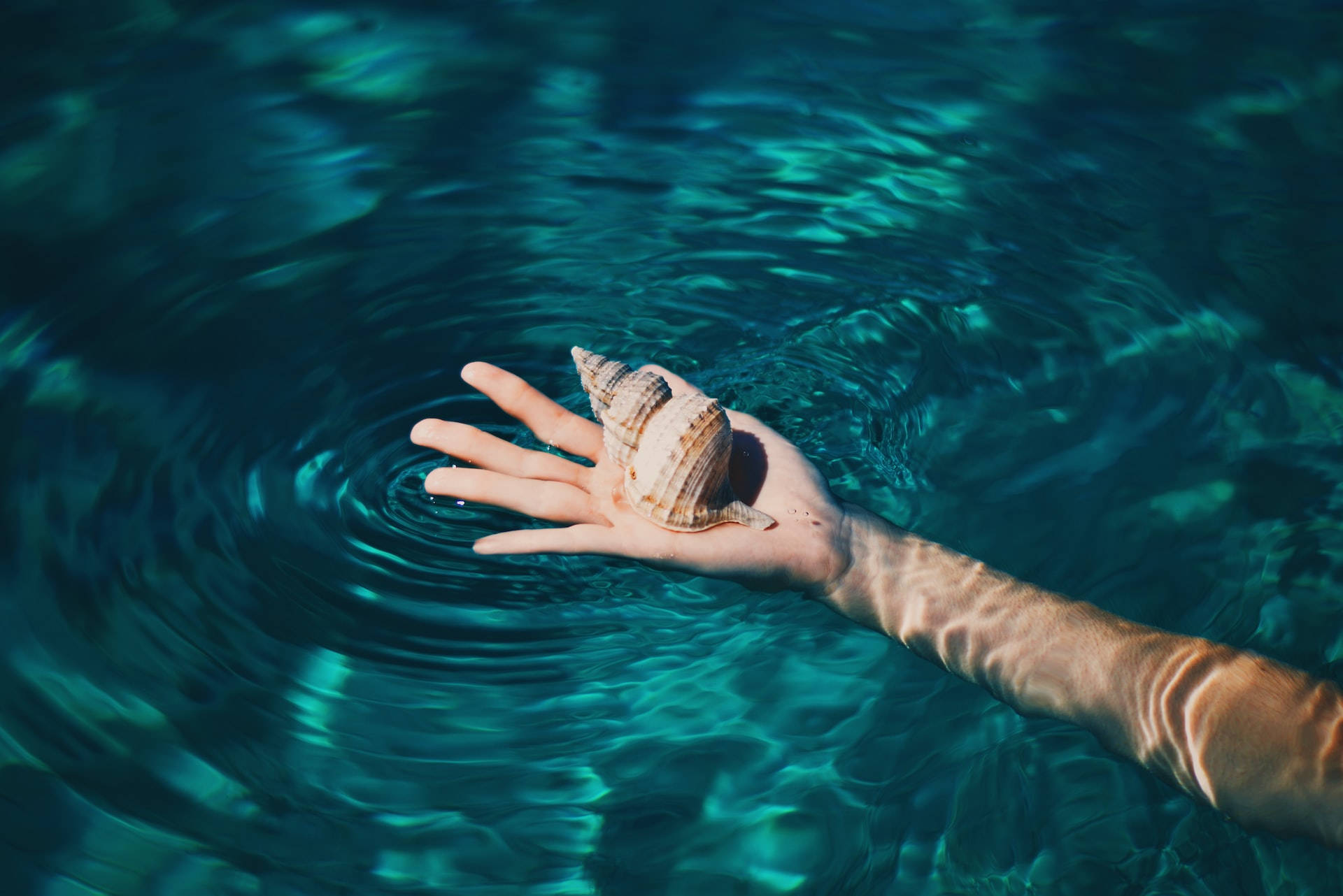 Moving Water And Seashell Background