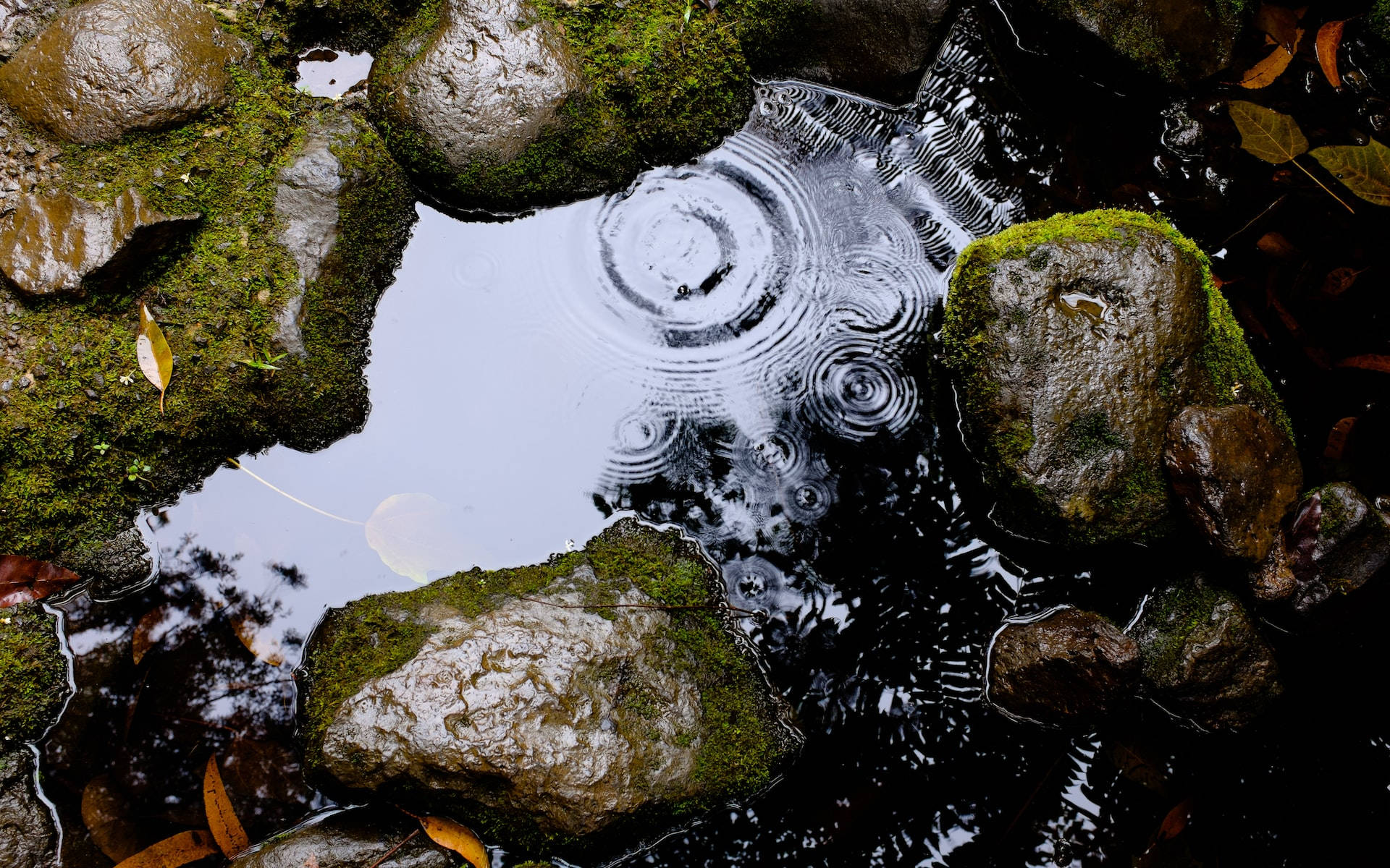 Moving Water On Slick Rocks