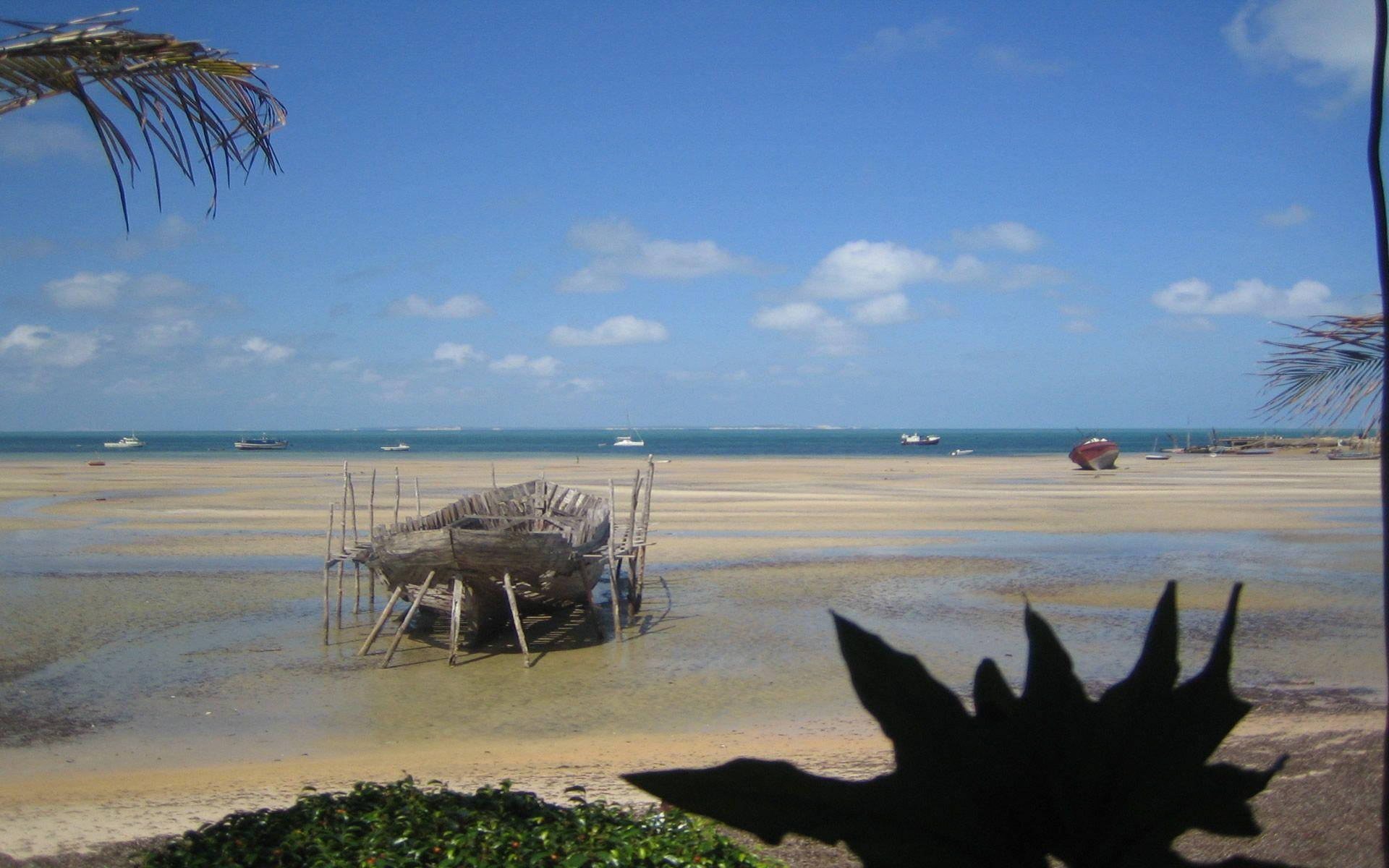 Mozambique Low Tide Background