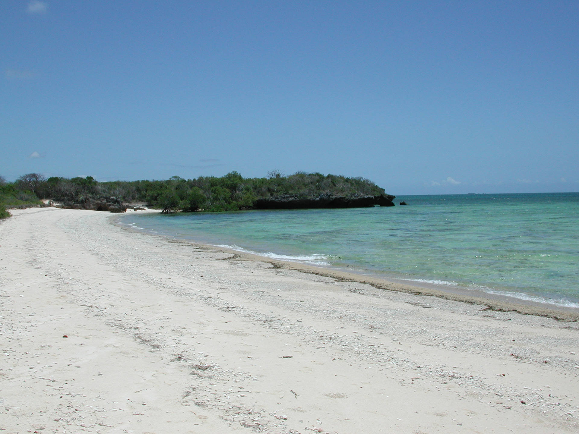 Mozambique Tofo Beach Background