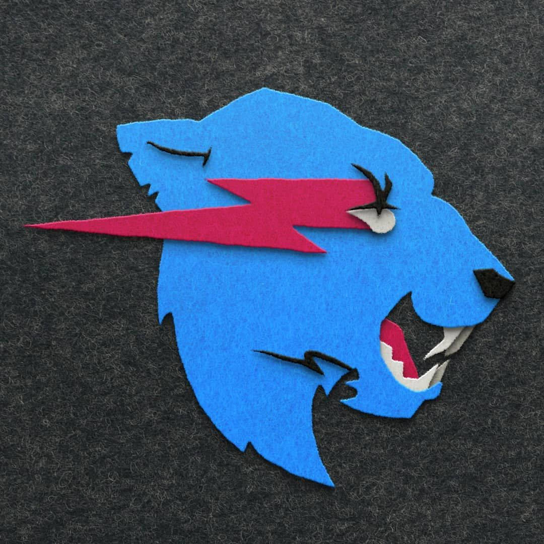 Mr. Beast Iconic Felt Cloth Logo Background