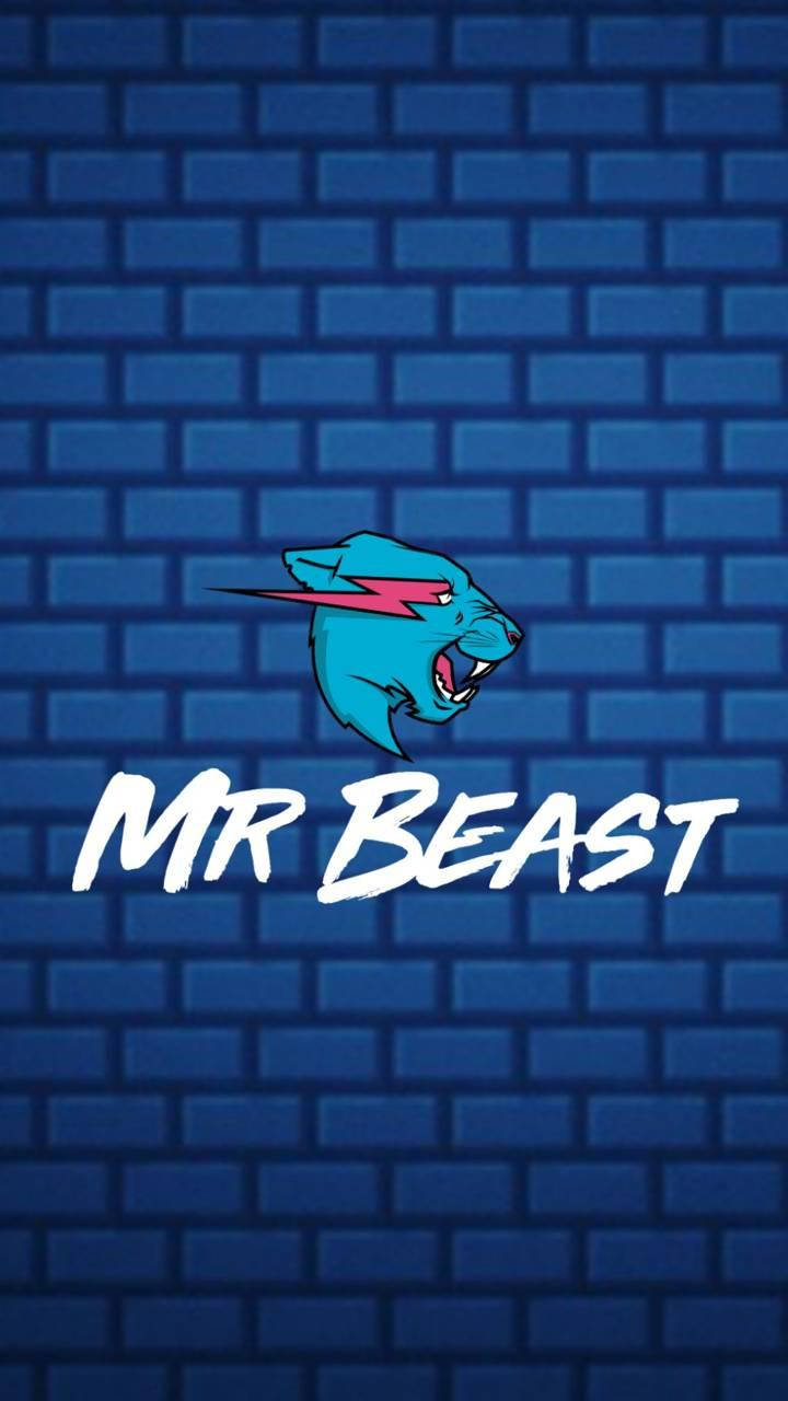 Mr Beast On Blue Brick Wall Background