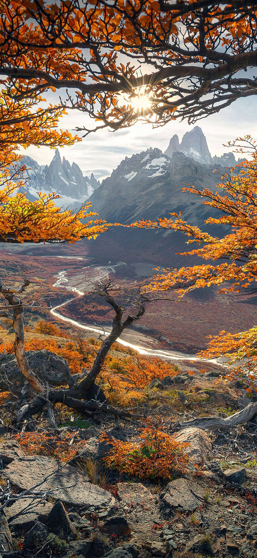 Mt. Fitz Roy Patagonia Autumn Iphone