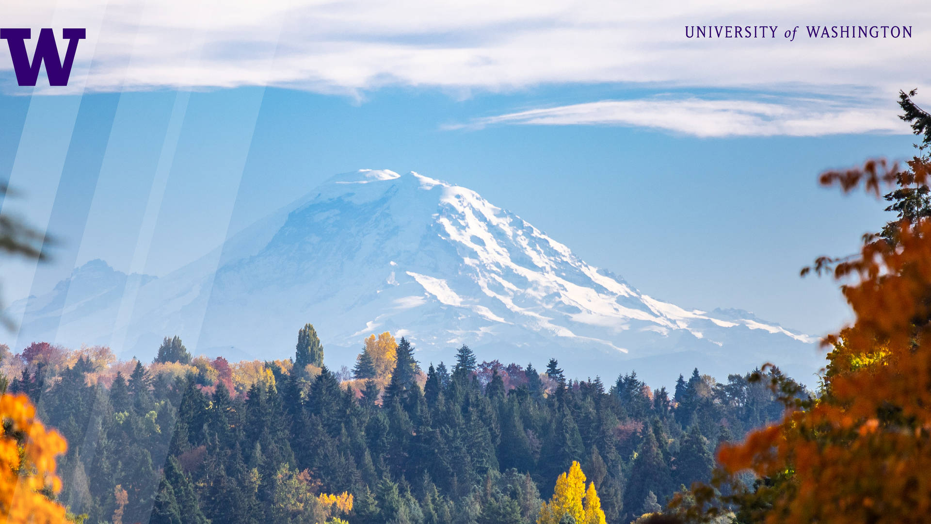 Mt. Rainier View At University Of Washington Background