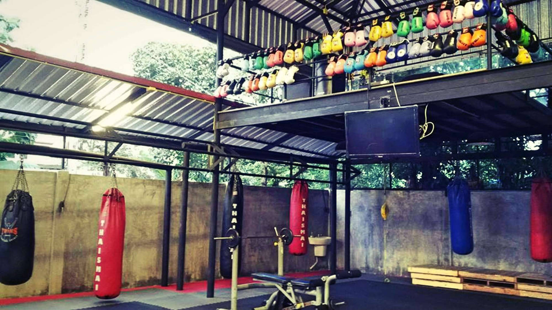 Muay Thai Boxing Gym Background