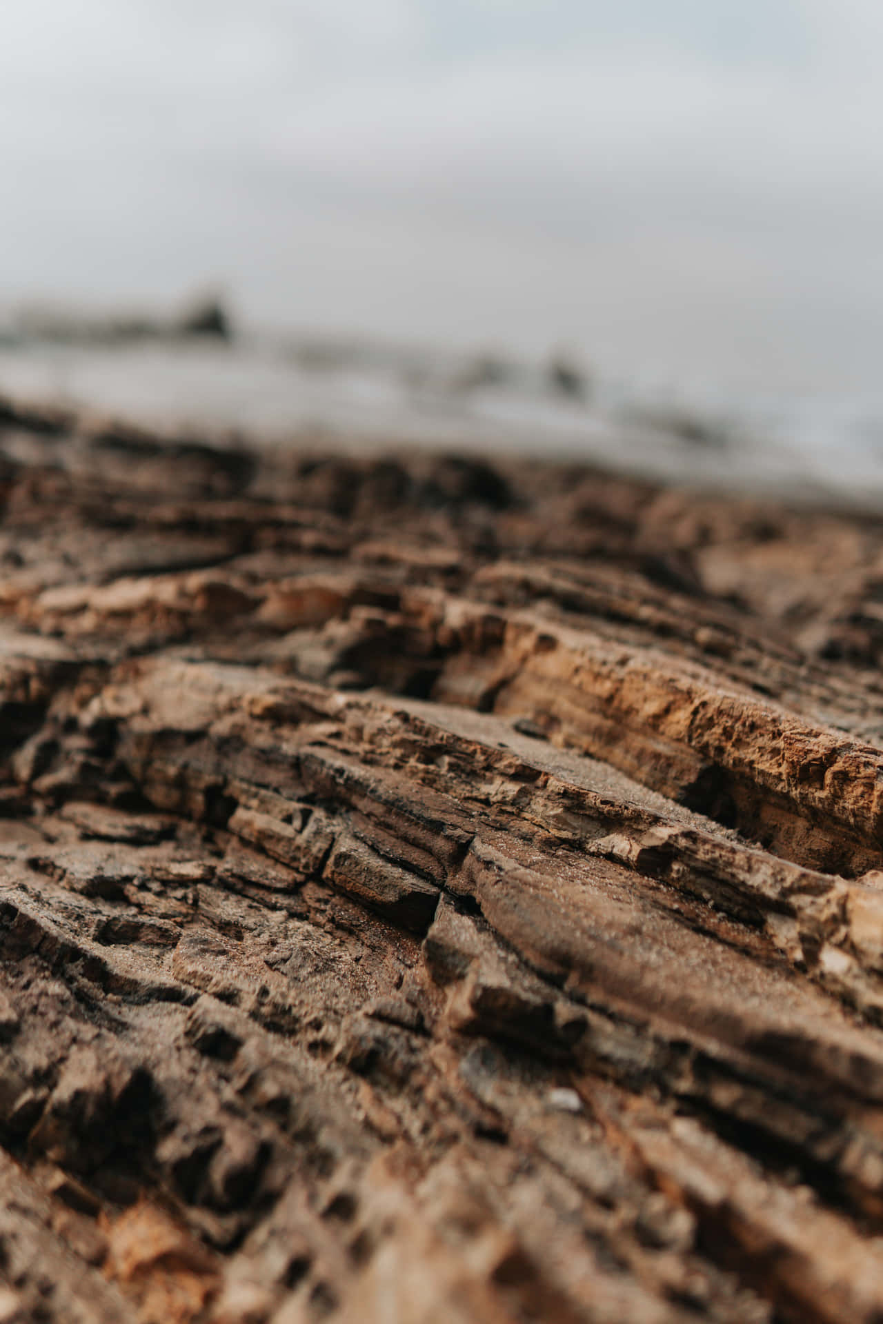 Mud On Detrital Sedimentary Rocks Background