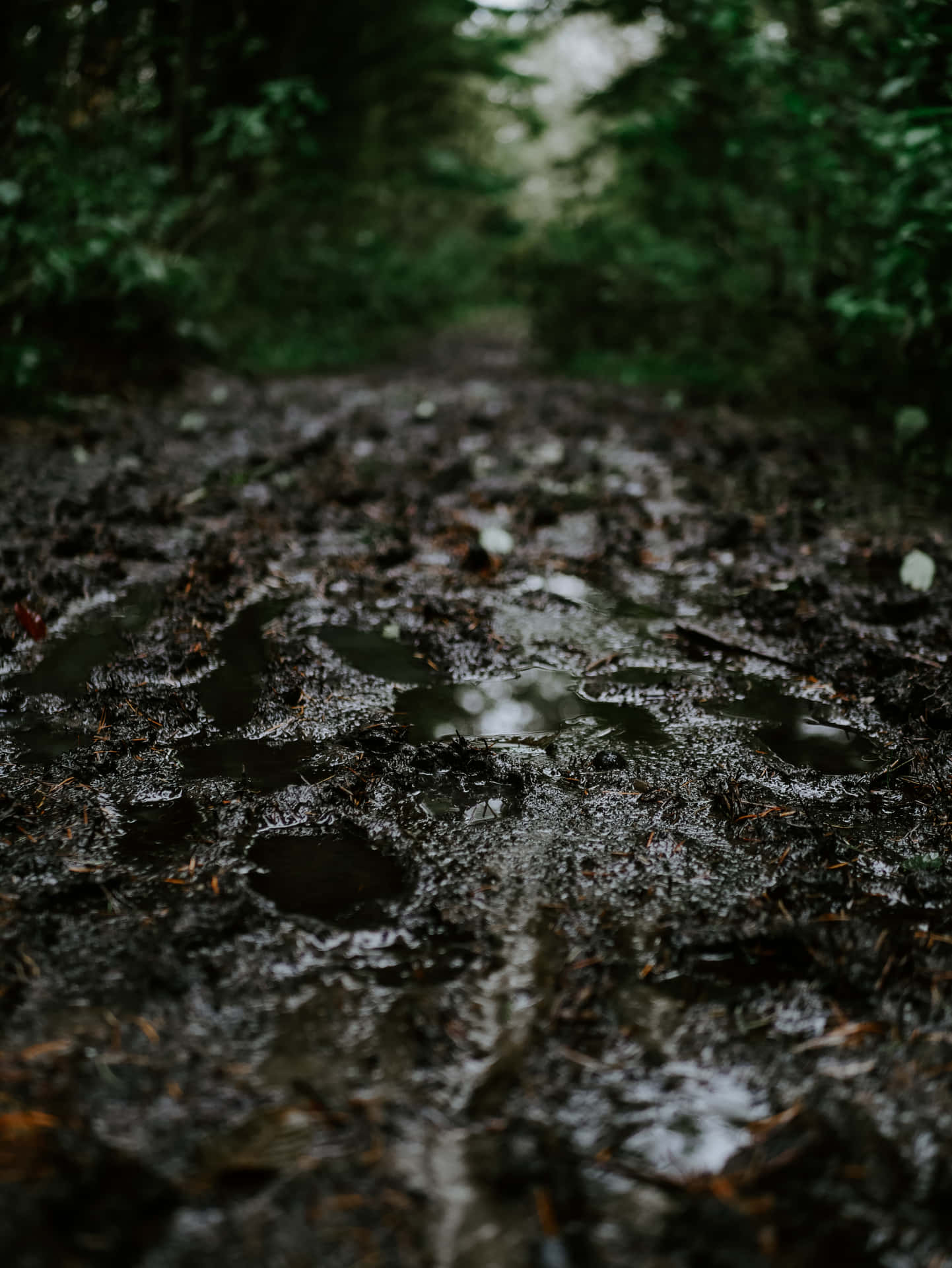 Mud Puddle After Rain Dirty Road Background