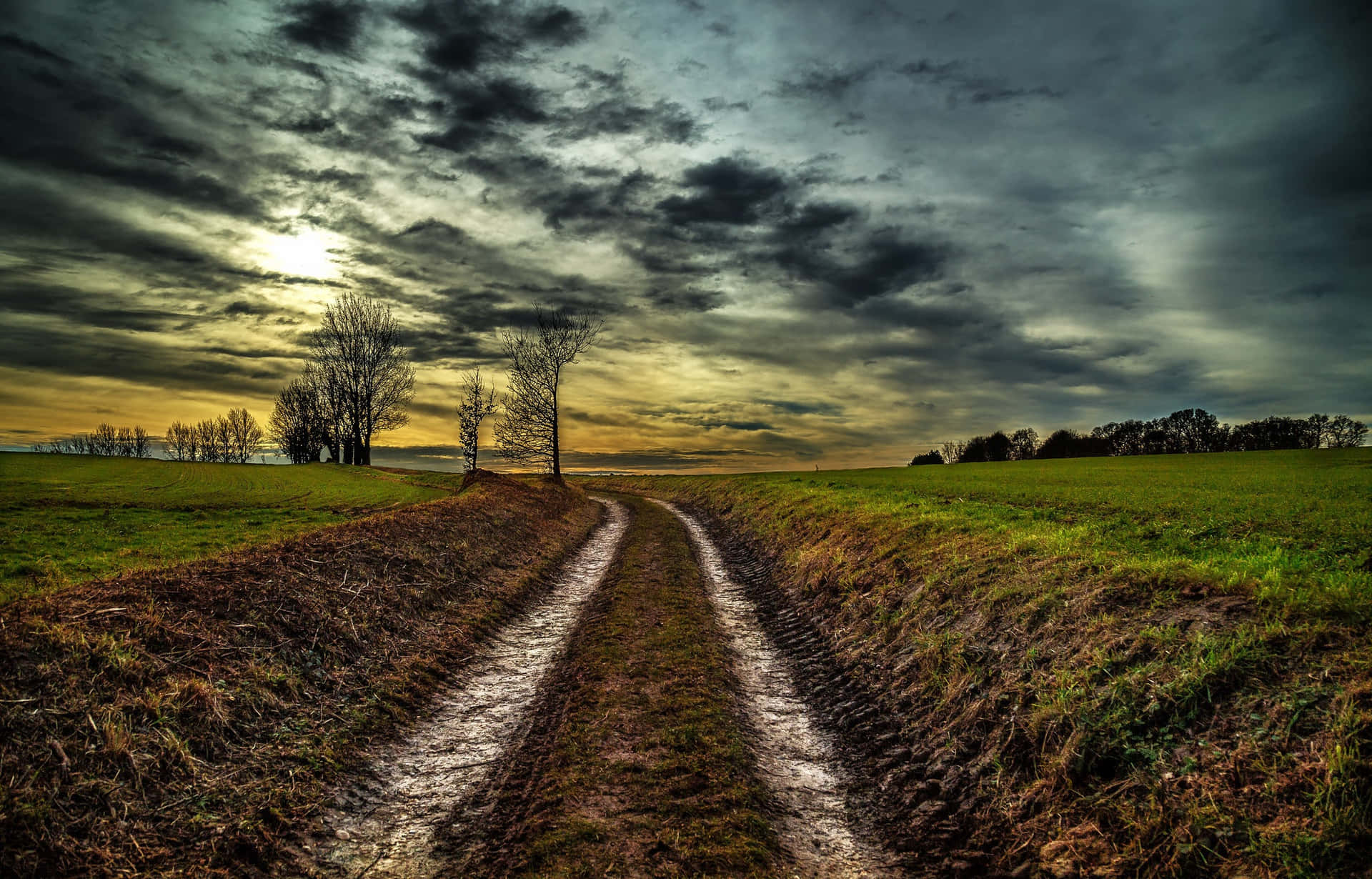 Mud Road Tire Tracks Sunset Landscape