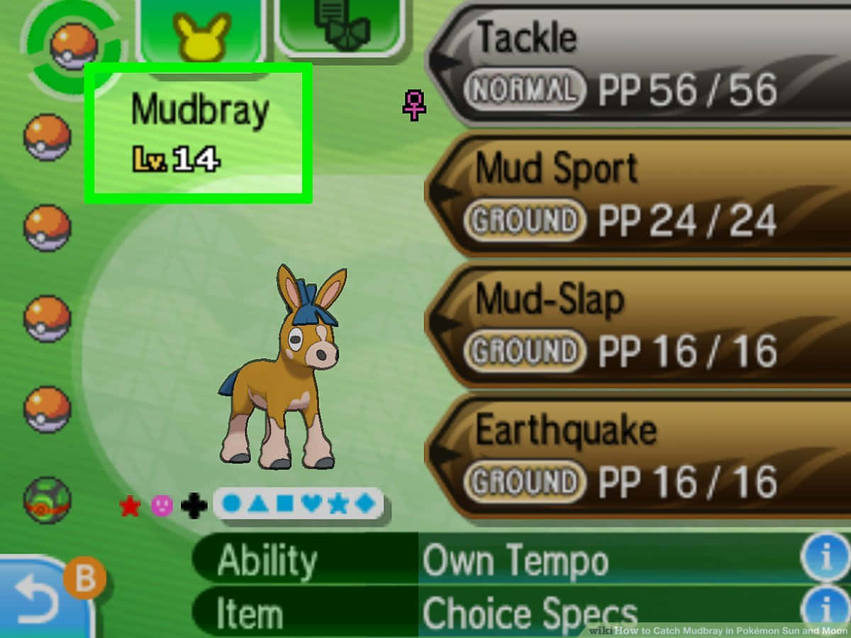 Mudbray In A Game Background