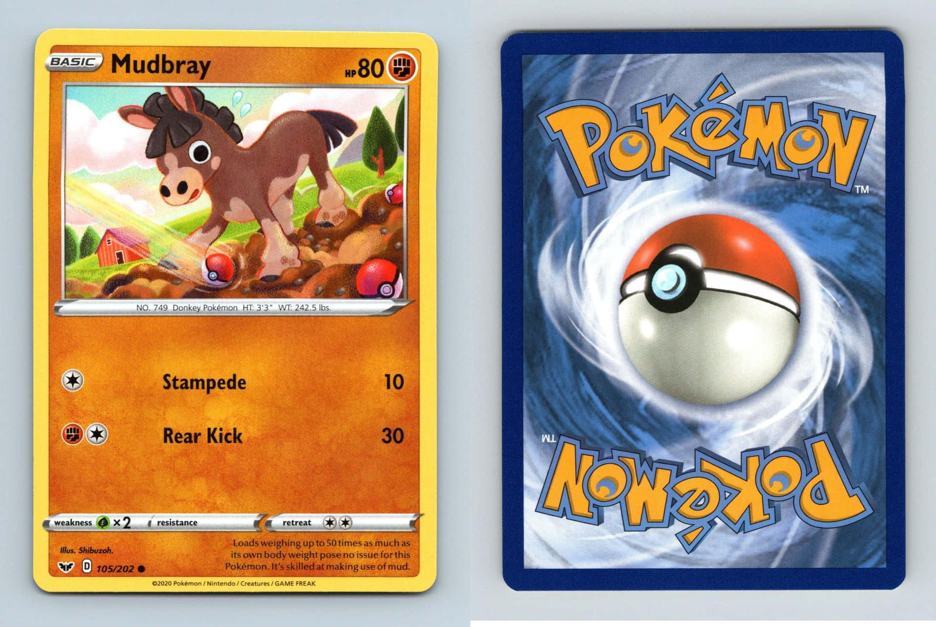 Mudbray Pokemon Card Front And Back Background
