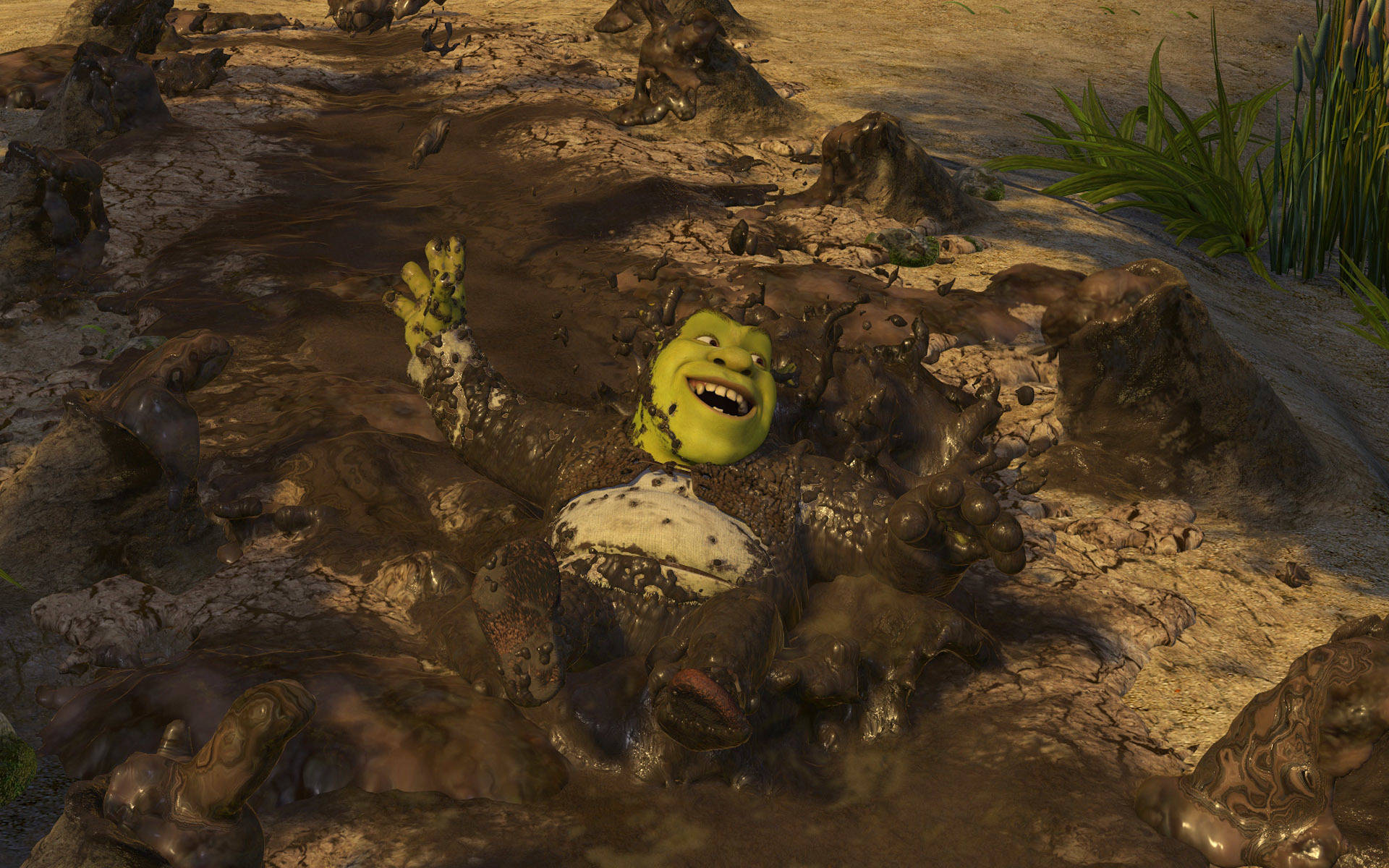 Muddy Shrek 4k Background