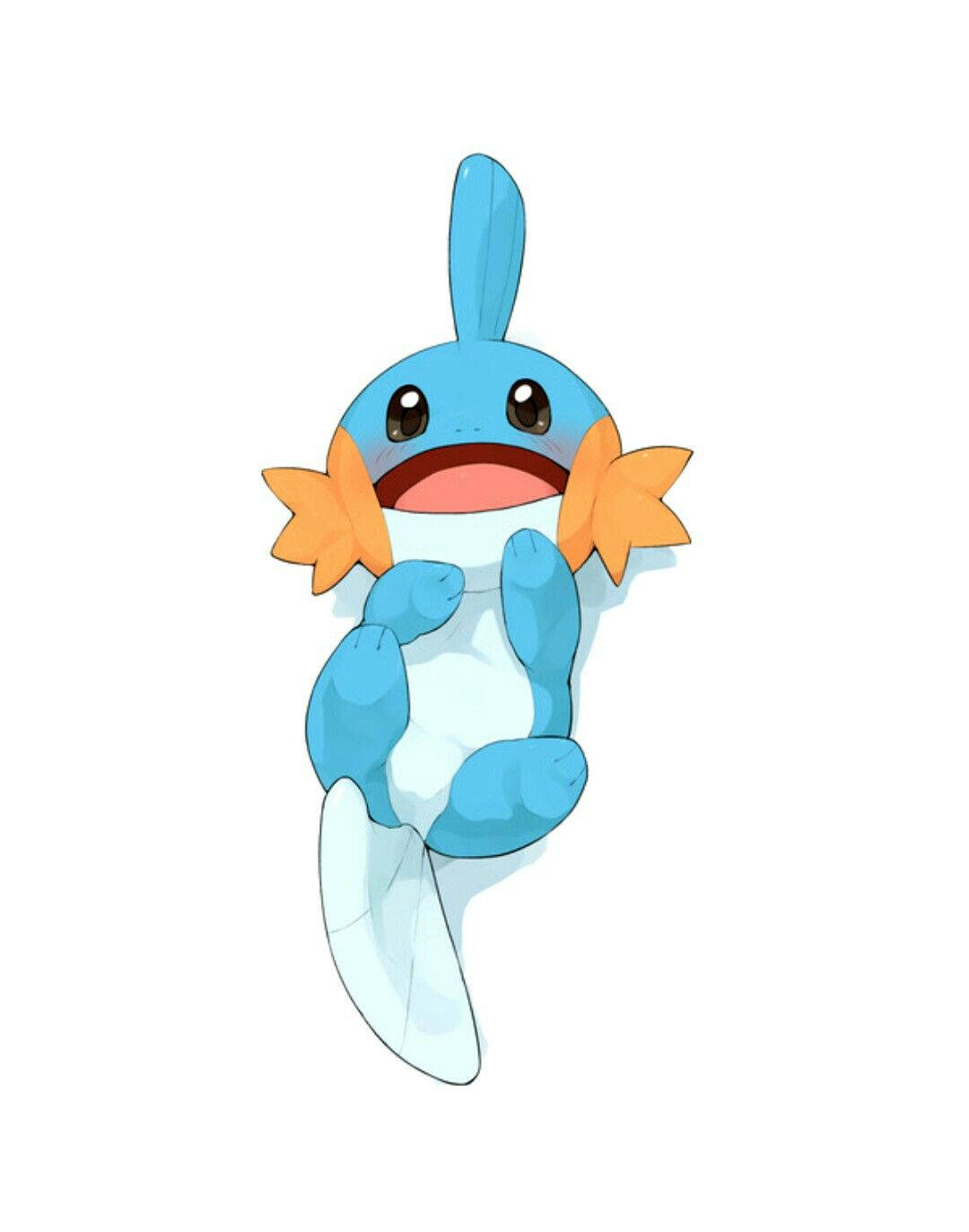 Mudkip Lying On White Background Background