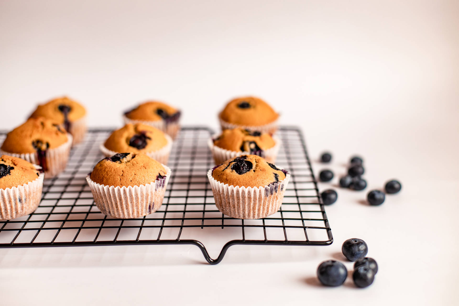 Muffins With Blueberry Background