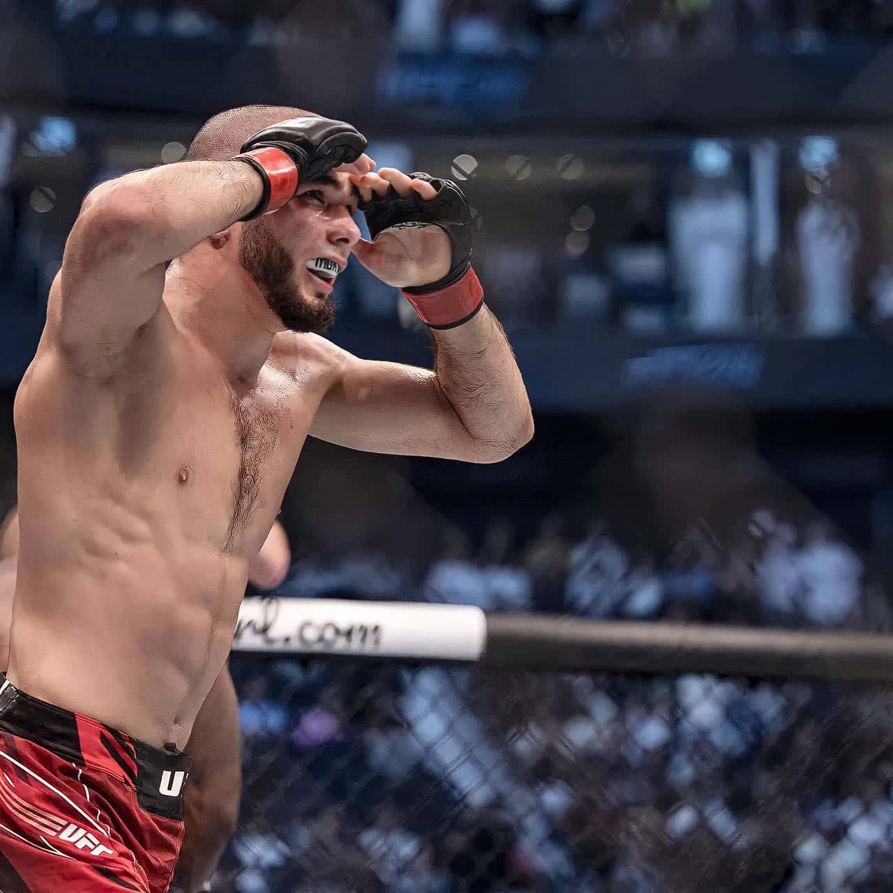 Muhammad Mokaev Peering At Audience