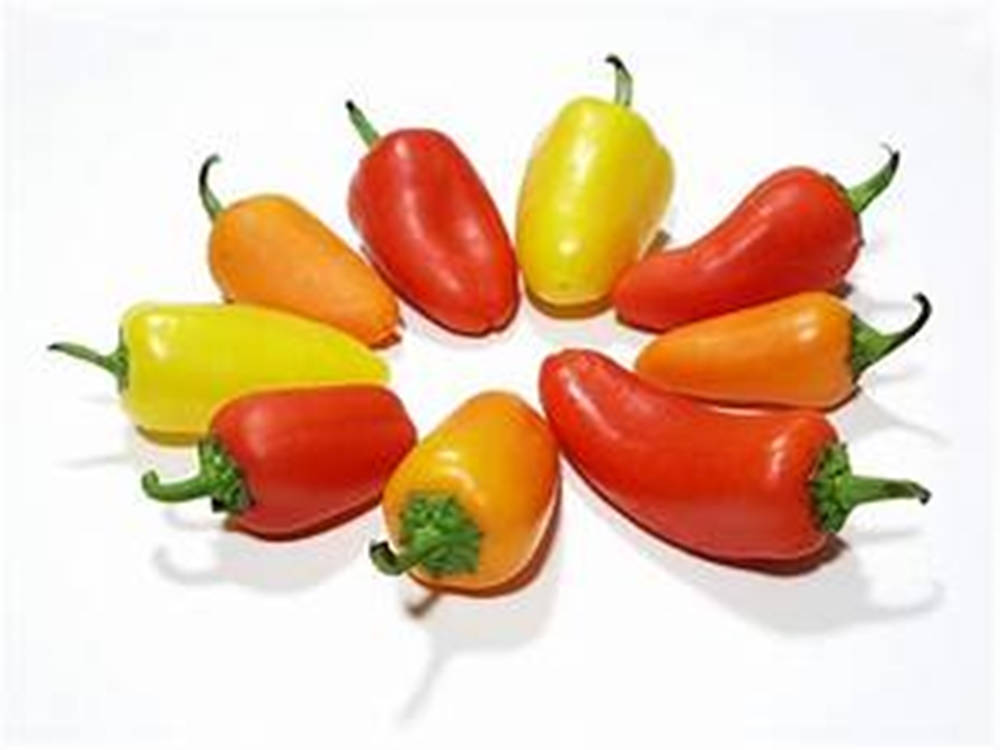 Multi-colored Bell Pepper Fruits Arranged In Circle