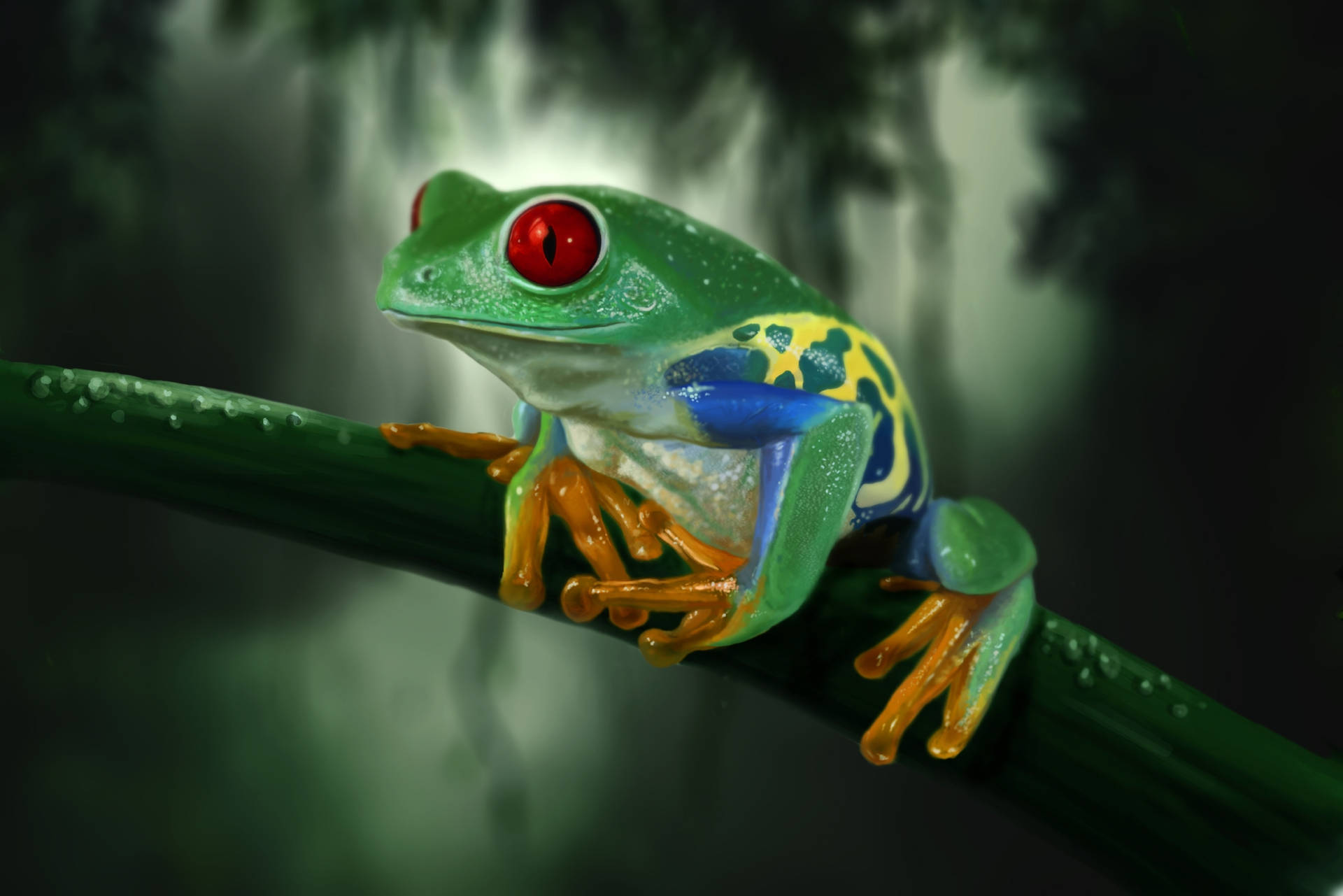 Multi-colored Frog On Stem Background