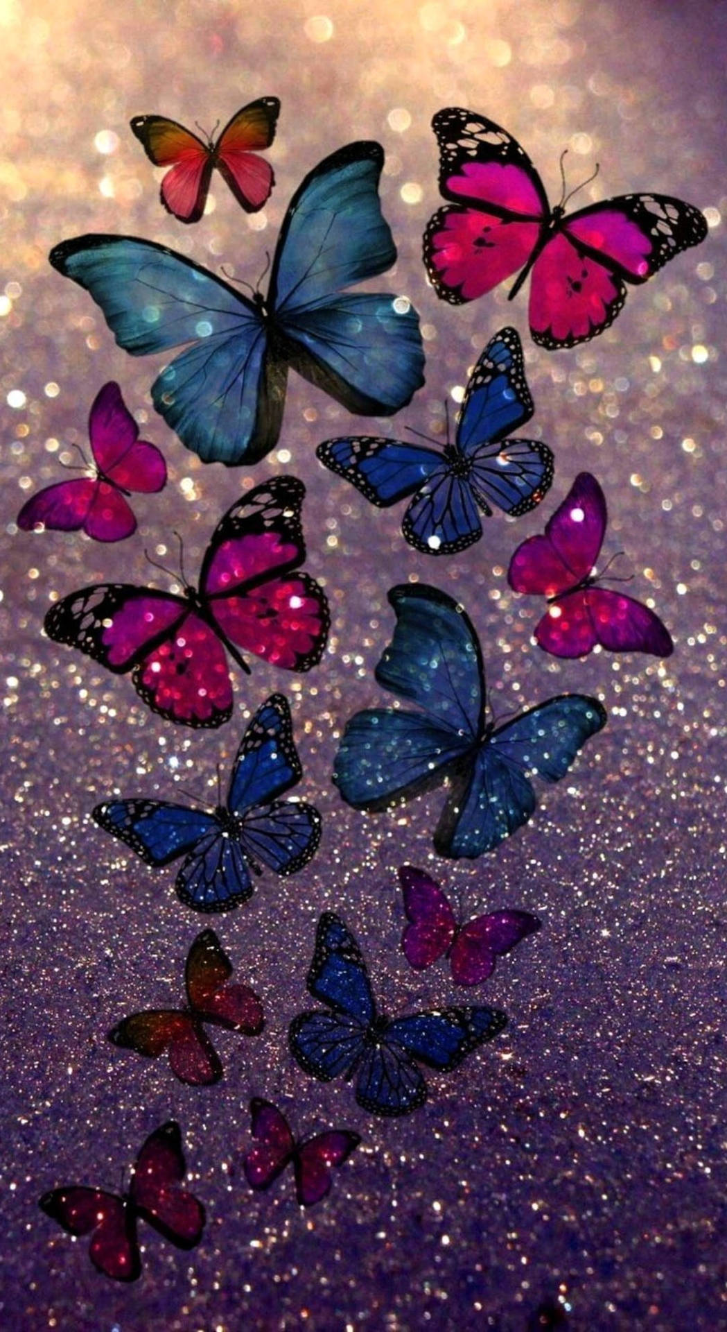 Multicolor Butterflies