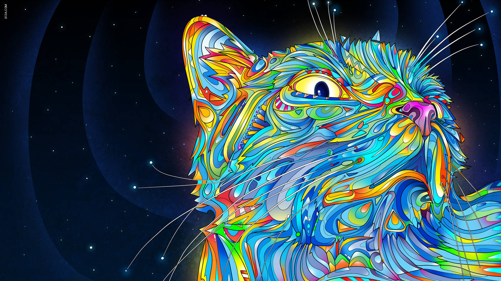 Multicolor Cat Full Hd 1600x900 Background