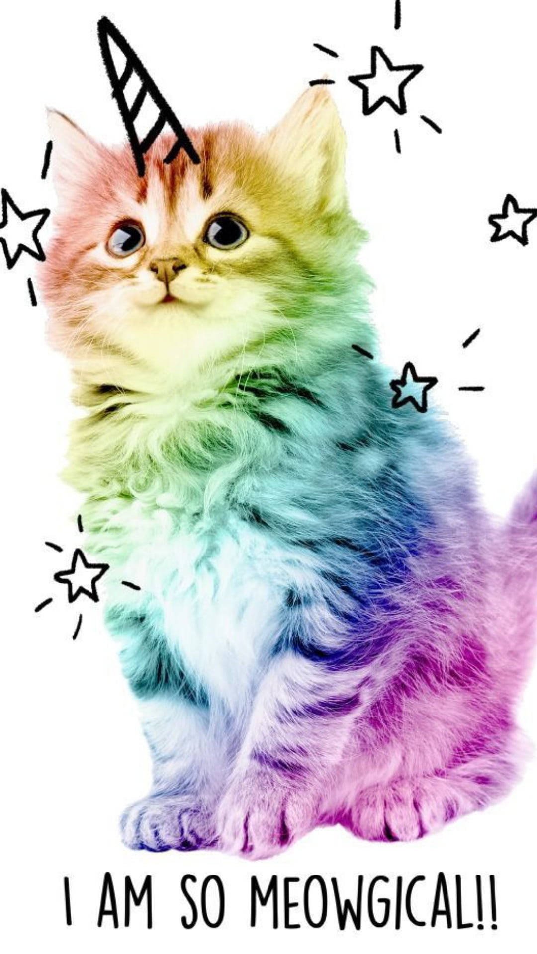 Multicolor Cute Kitty