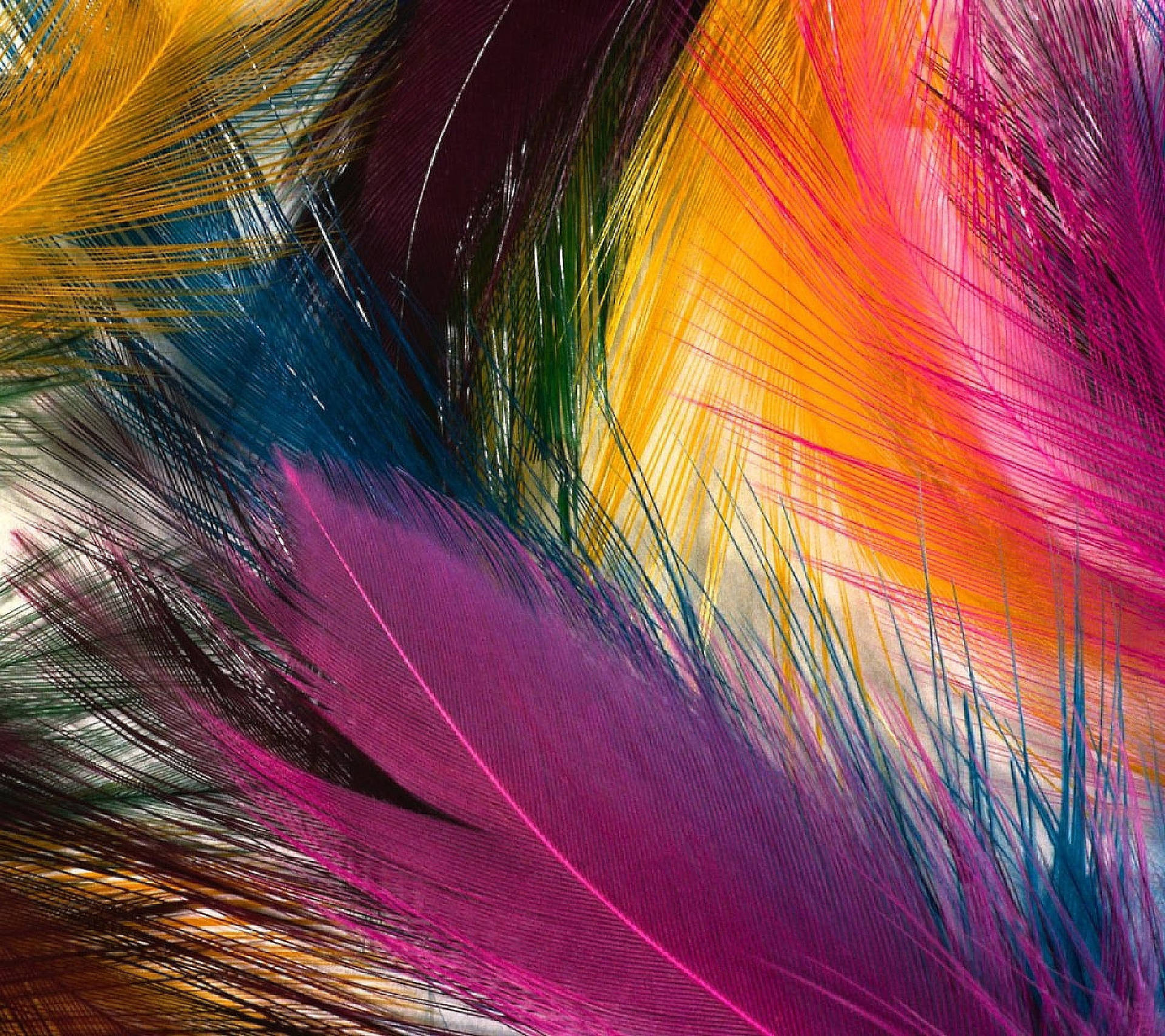 Multicolor Huge Feathers Background