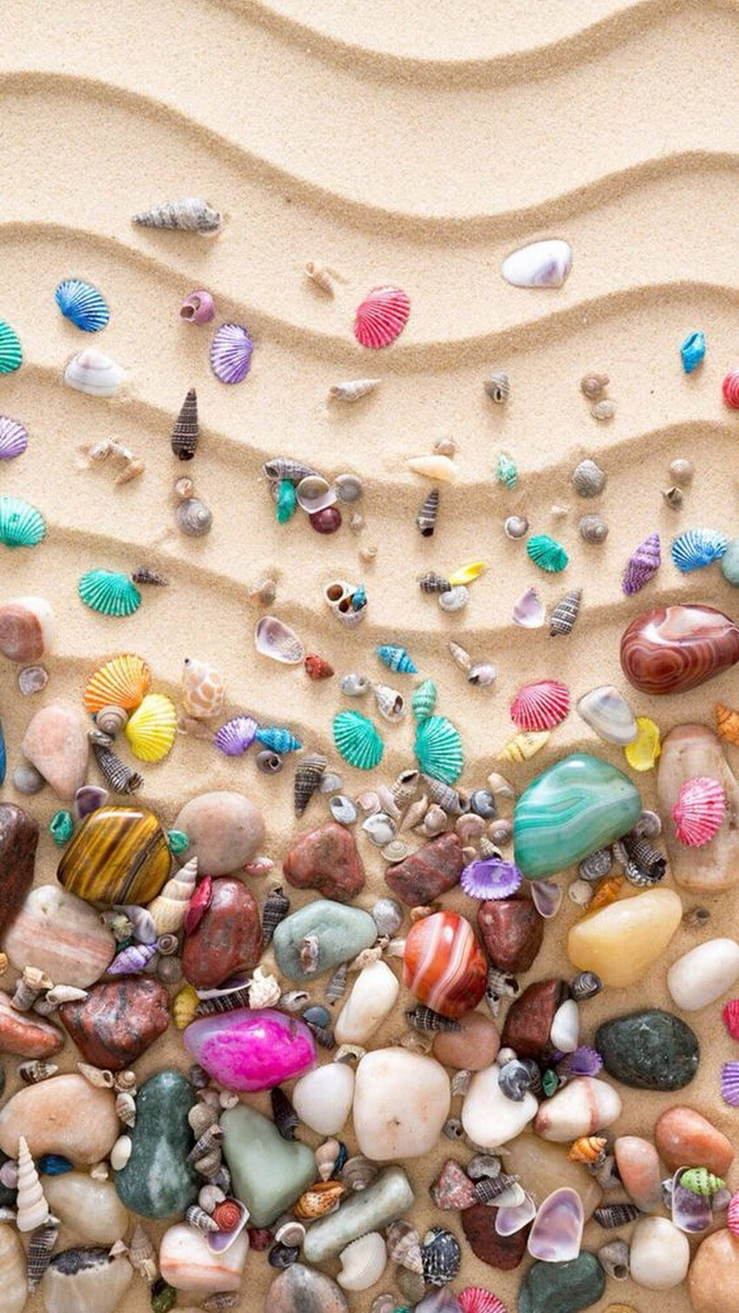 Multicolor Sea Shells Background